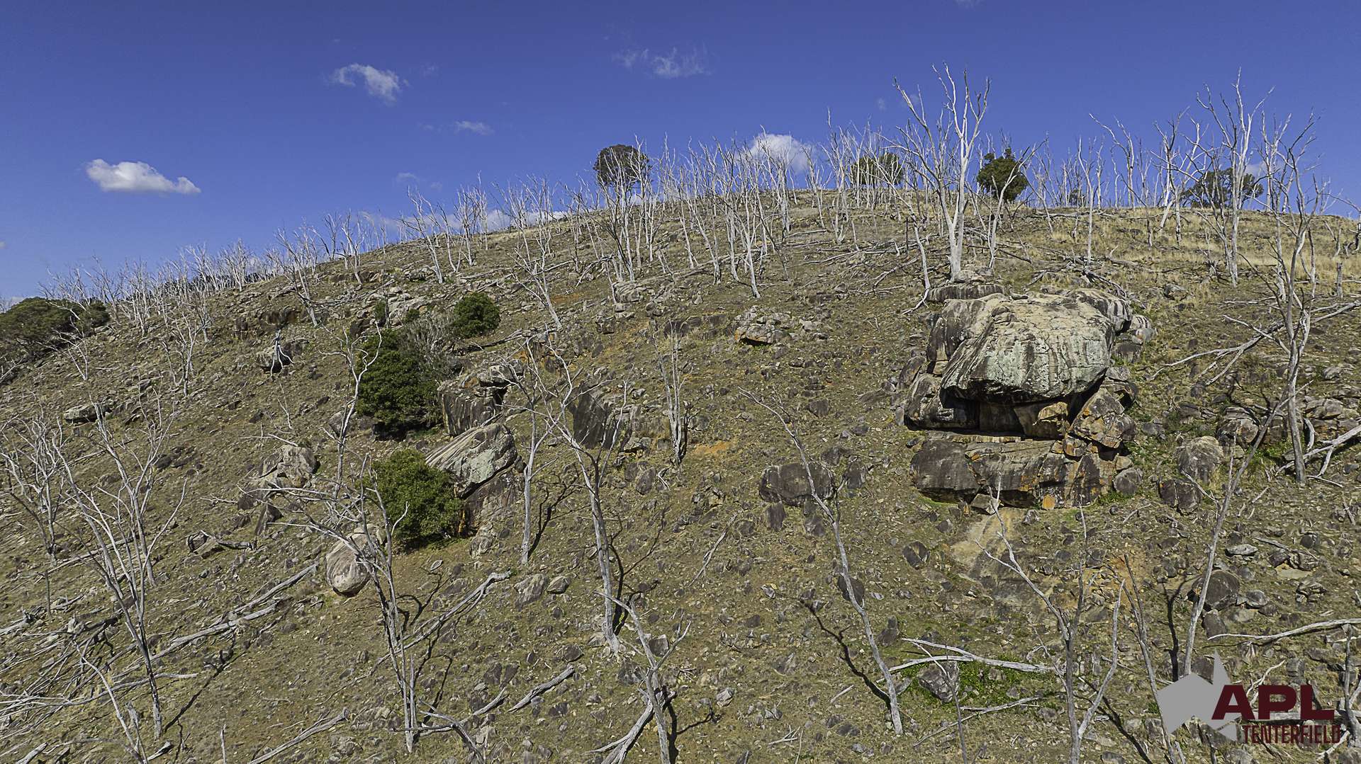 617 Bluff River Road, Tenterfield For Sale by Farmbuy.com - image 32