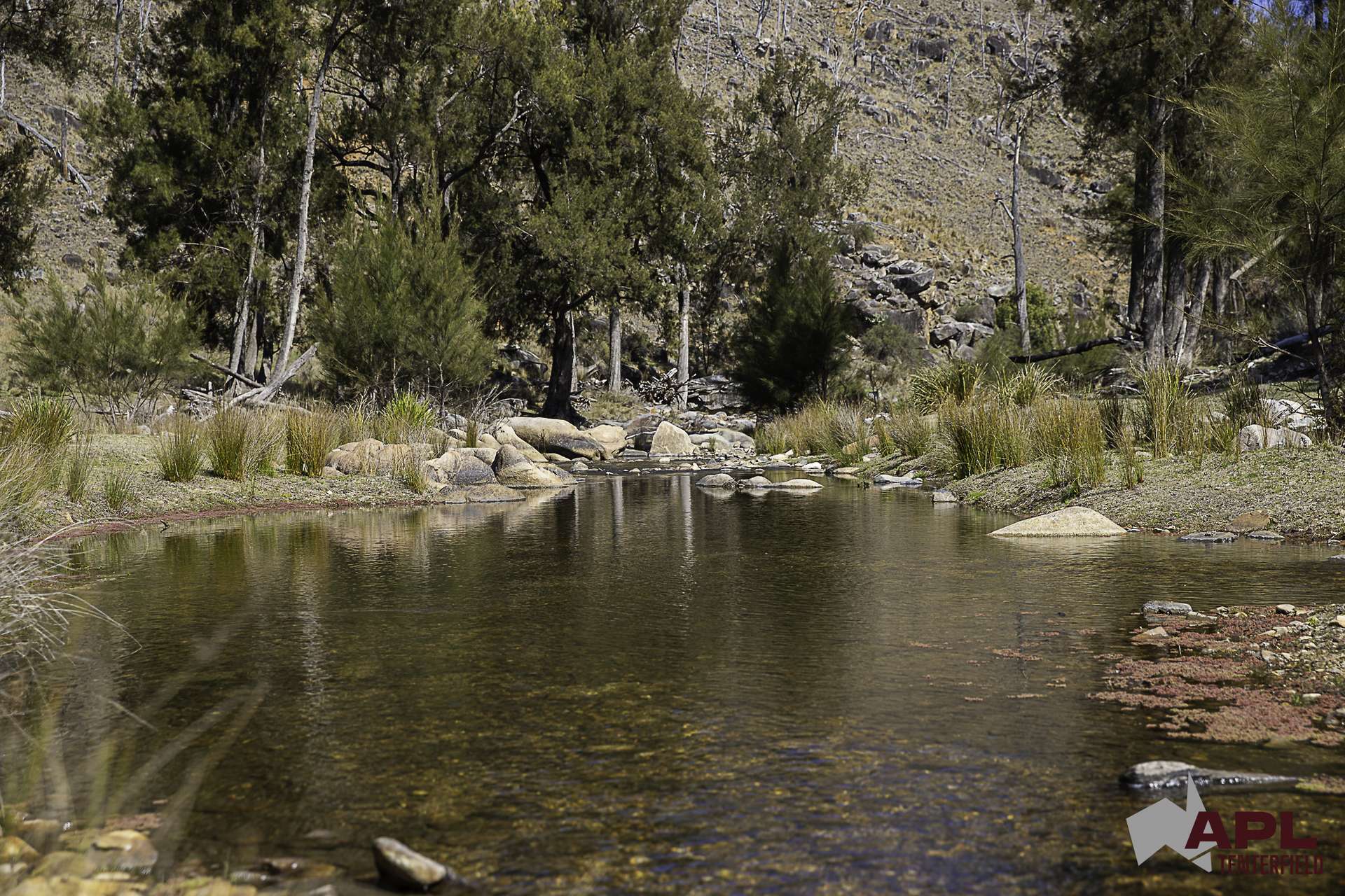 617 Bluff River Road, Tenterfield For Sale by Farmbuy.com - image 29