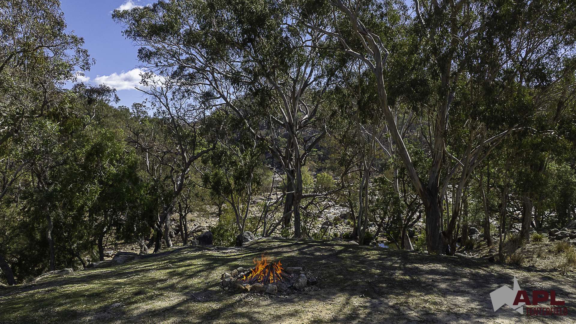 617 Bluff River Road, Tenterfield For Sale by Farmbuy.com - image 16