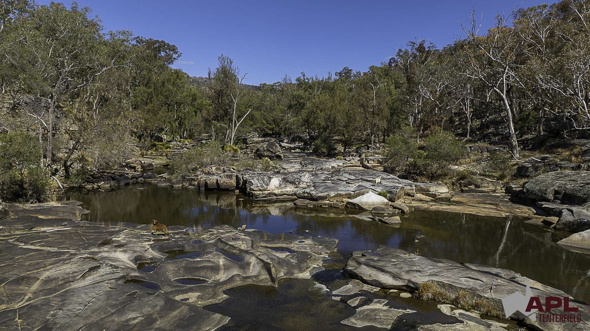 617 Bluff River Road, Tenterfield For Sale by Farmbuy.com - image 33