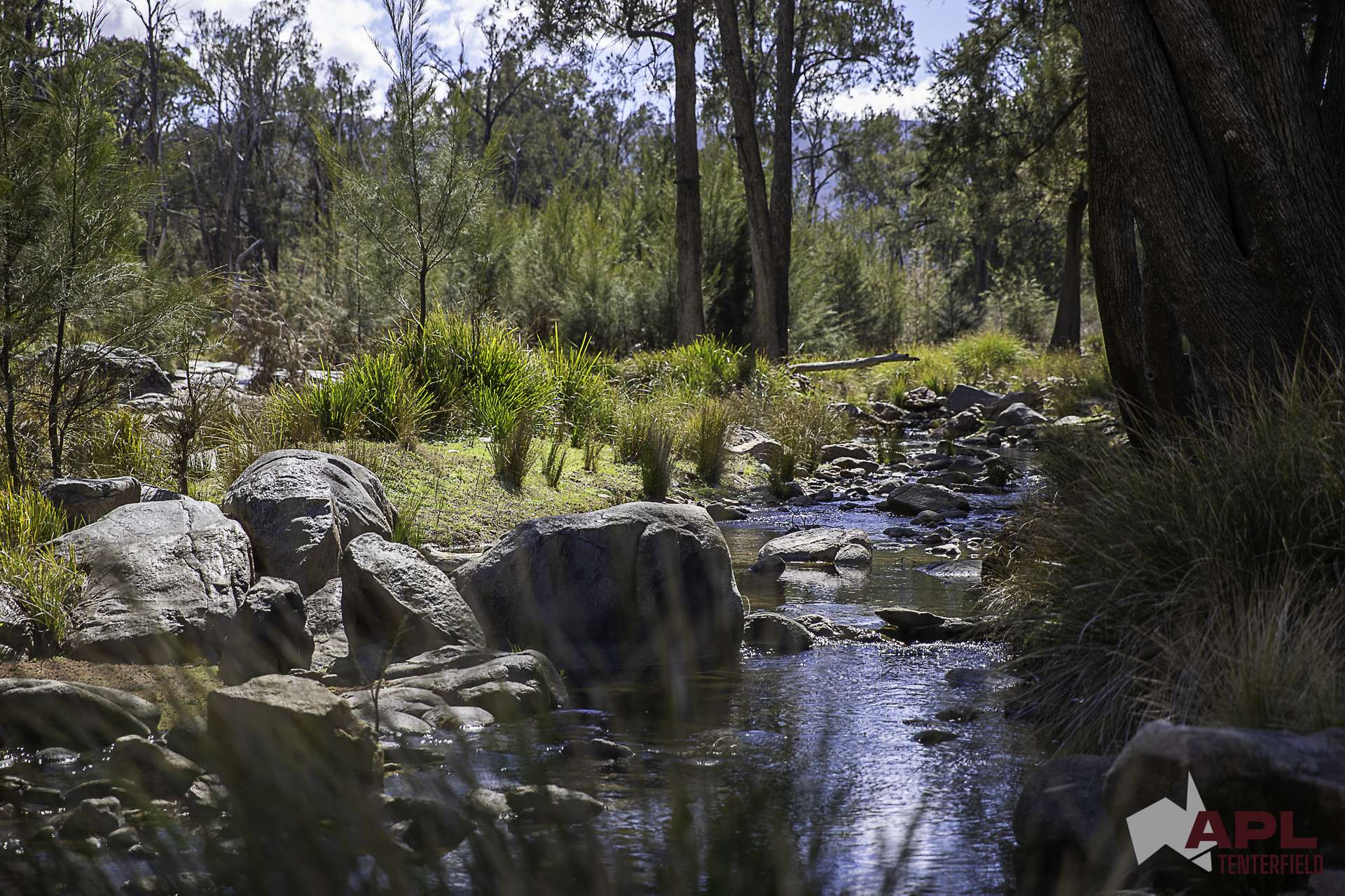 617 Bluff River Road, Tenterfield For Sale by Farmbuy.com - image 20