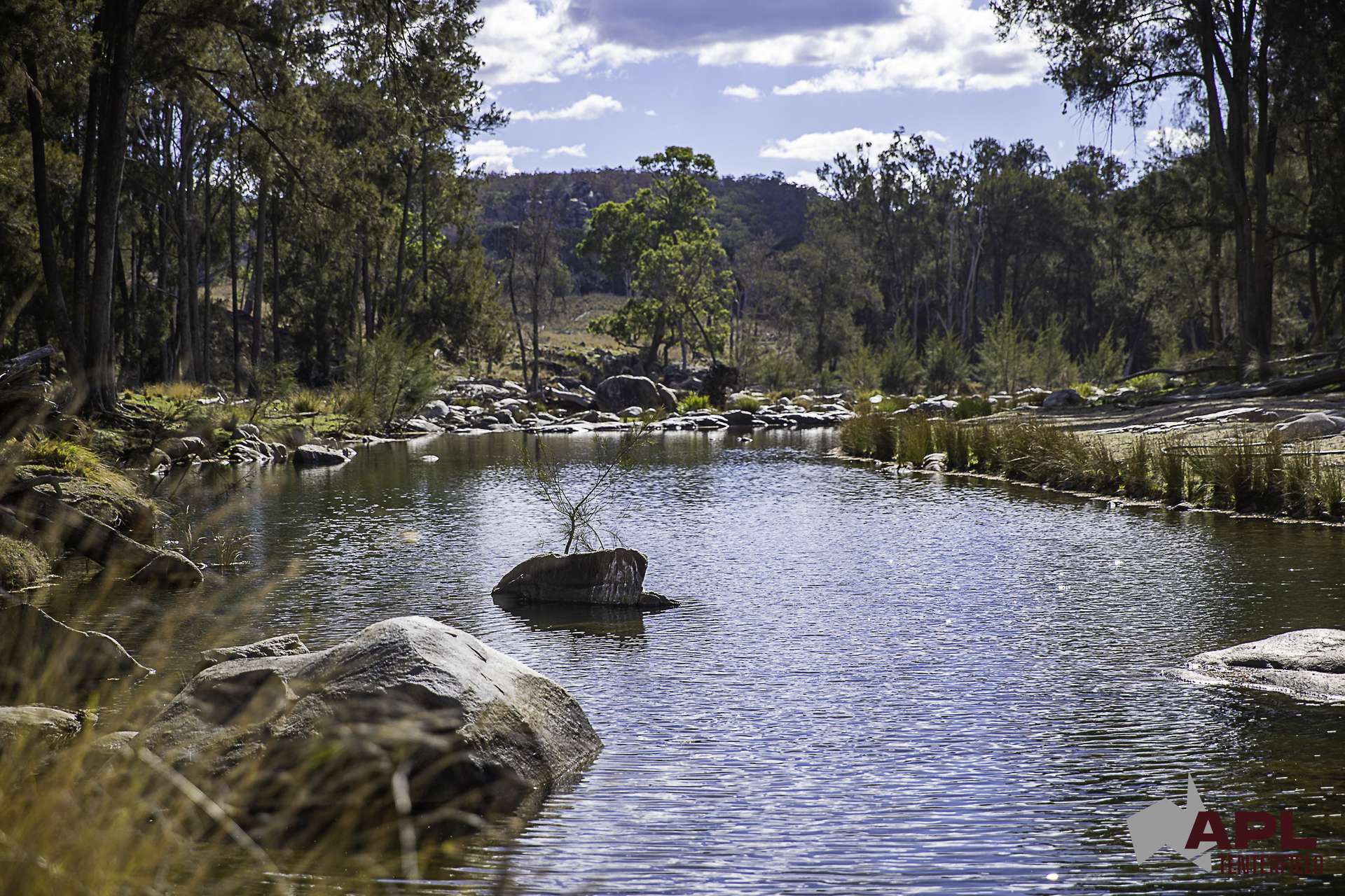 617 Bluff River Road, Tenterfield For Sale by Farmbuy.com - image 2