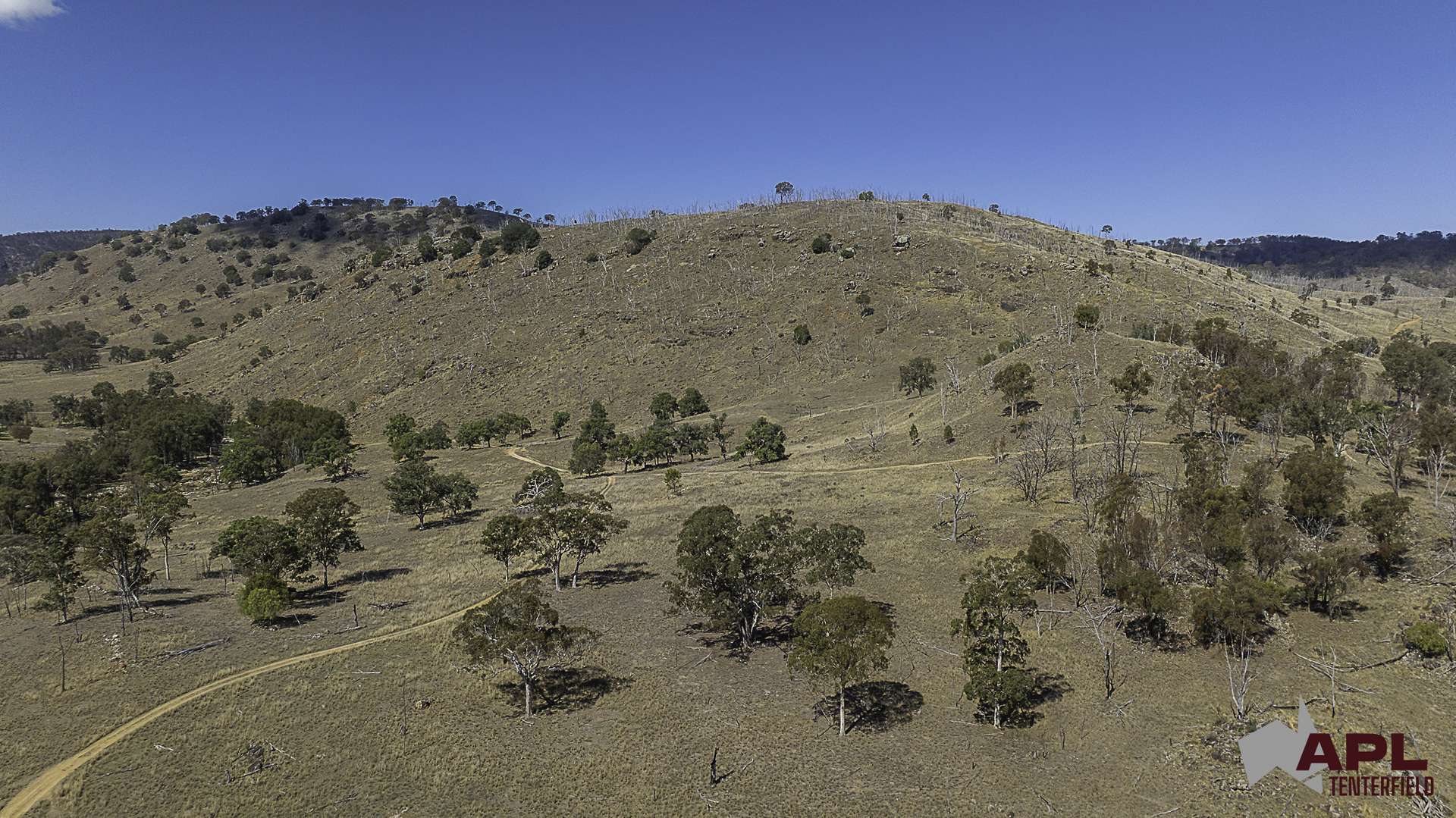 617 Bluff River Road, Tenterfield For Sale by Farmbuy.com - image 21
