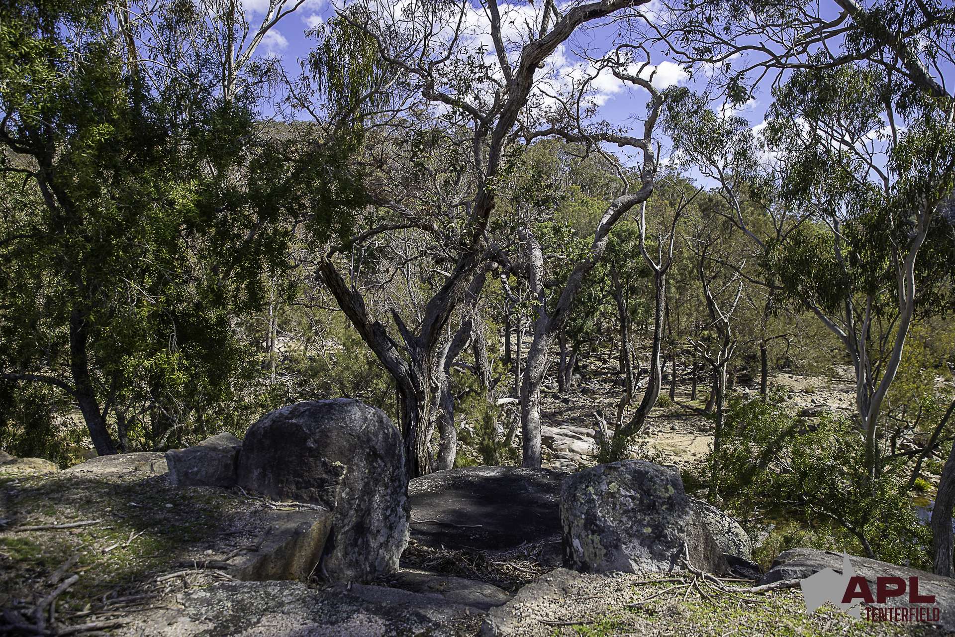 617 Bluff River Road, Tenterfield For Sale by Farmbuy.com - image 17