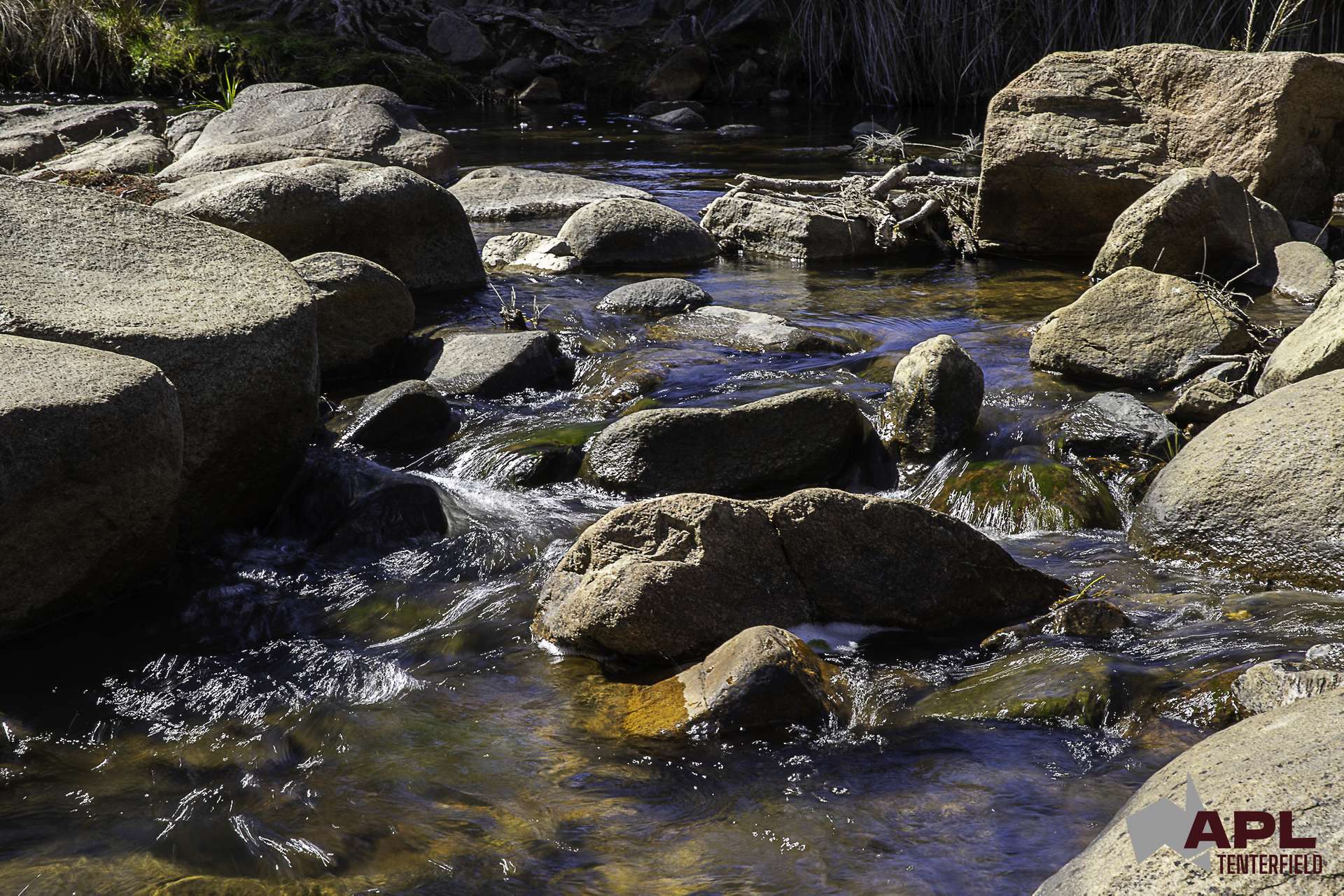 617 Bluff River Road, Tenterfield For Sale by Farmbuy.com - image 28