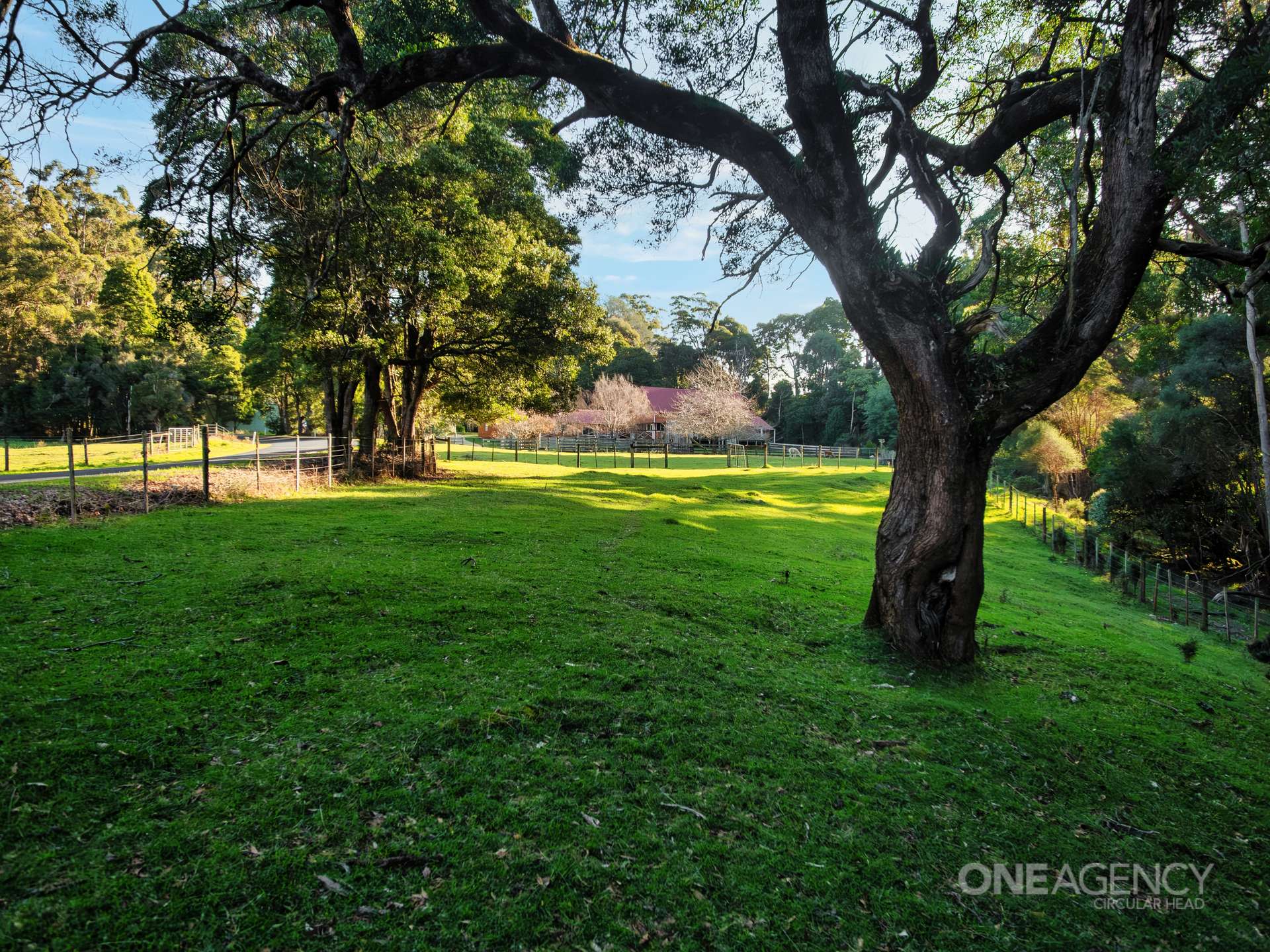 270 Lapoinya Road, Lapoinya For Sale by Farmbuy.com - image 27