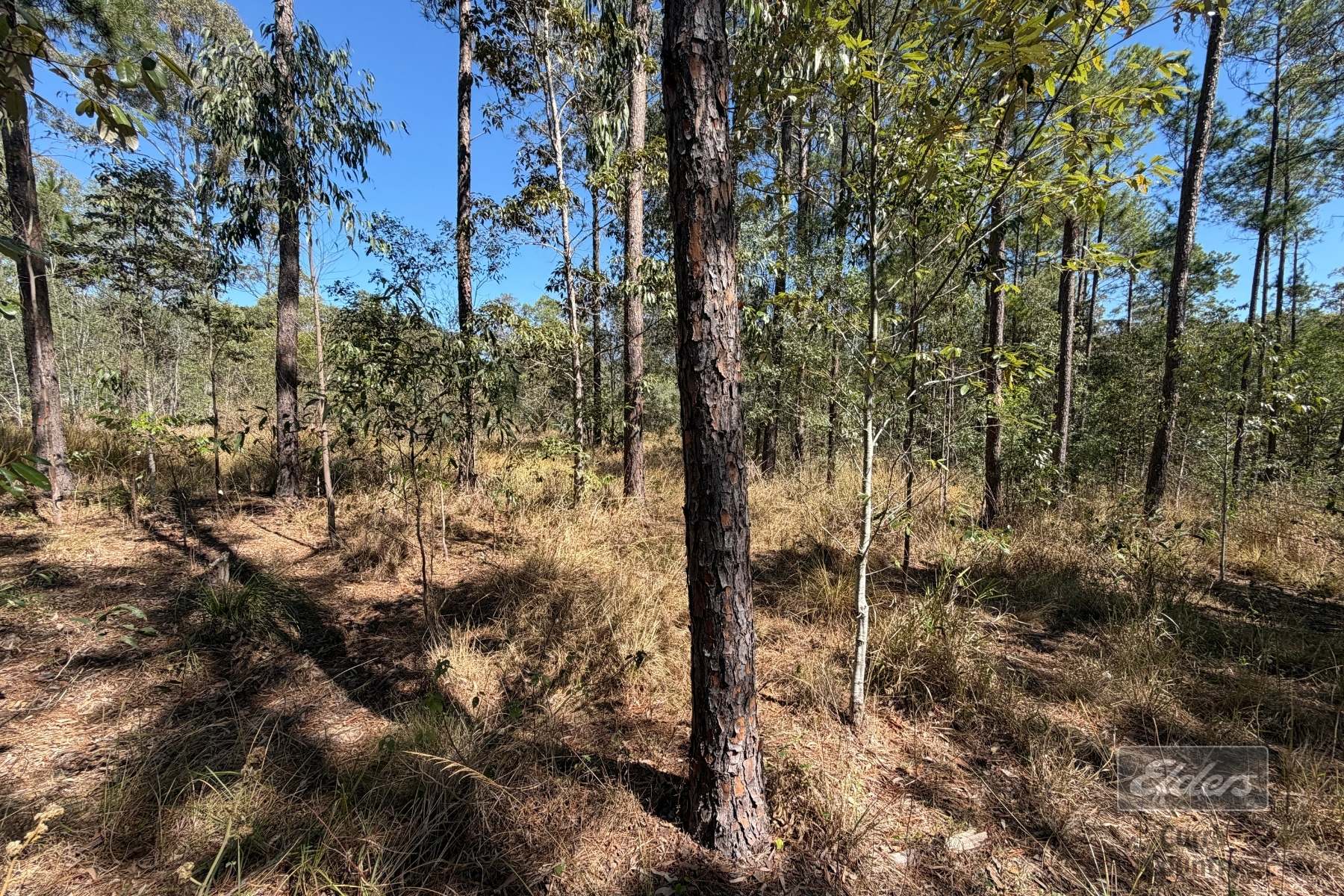Lot 30 Gaunt Road Road, Glenwood For Sale by Farmbuy.com - image 5