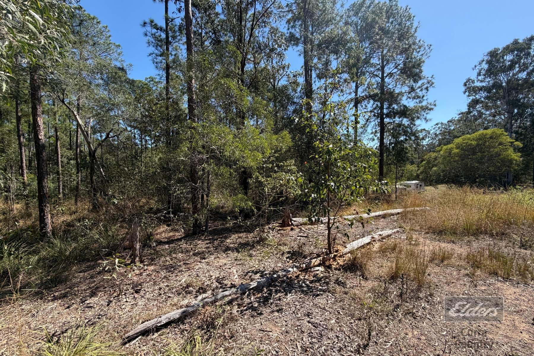 Lot 30 Gaunt Road Road, Glenwood For Sale by Farmbuy.com - image 6