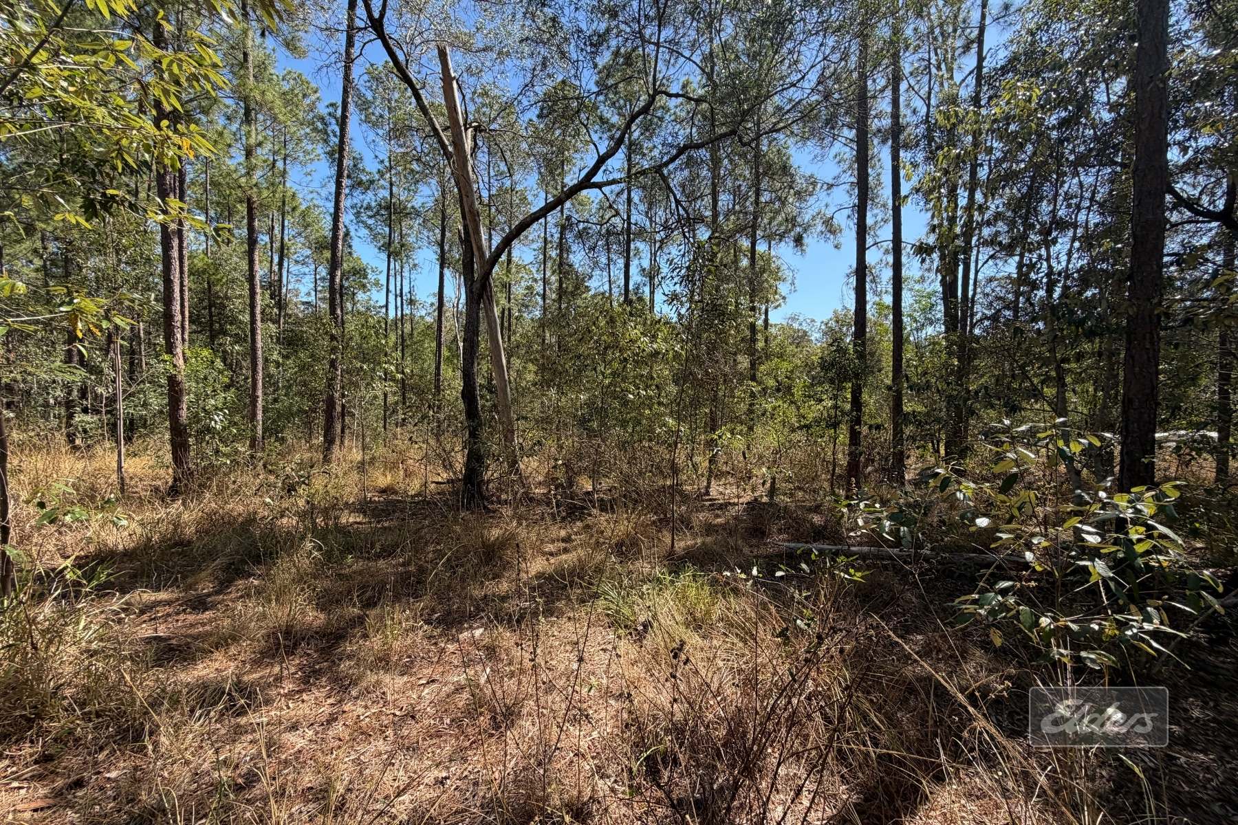 Lot 30 Gaunt Road Road, Glenwood For Sale by Farmbuy.com - image 7