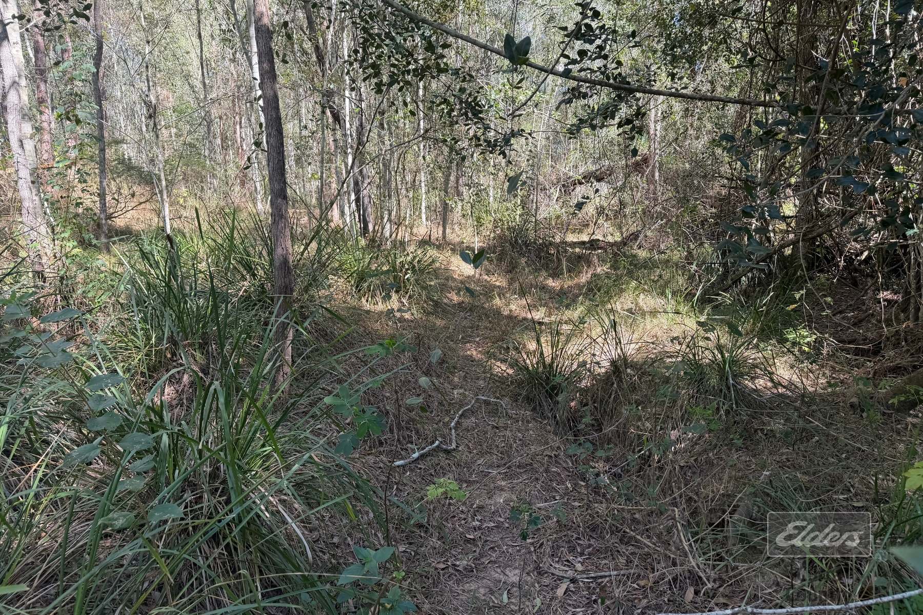 Lot 30 Gaunt Road Road, Glenwood For Sale by Farmbuy.com - image 4