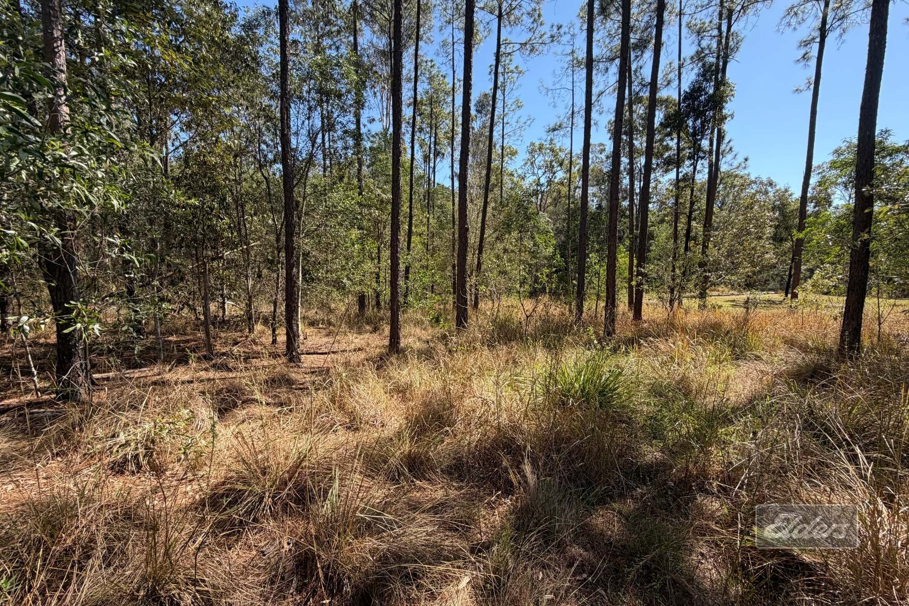 Lot 30 Gaunt Road Road, Glenwood For Sale by Farmbuy.com - image 3