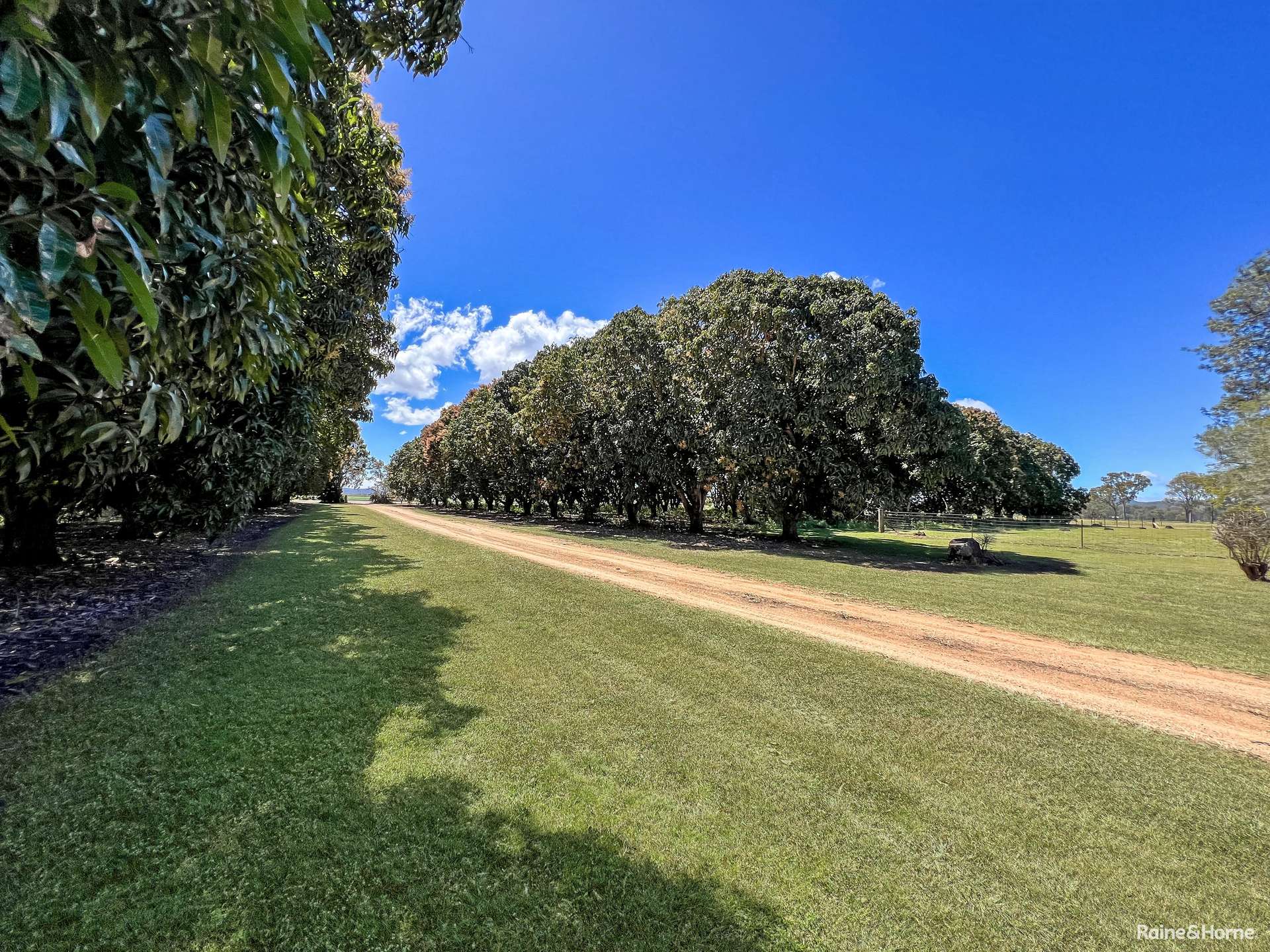 843 Herbert River Road, Innot Hot Springs For Sale by Farmbuy.com - image 20