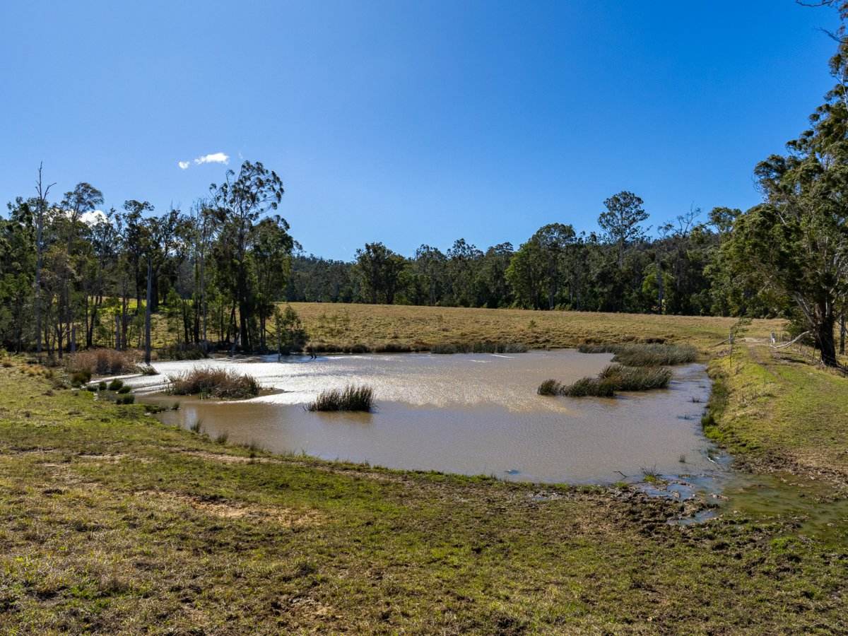 9859 Princes Highway, Cobargo Sold by Farmbuy.com - image 7