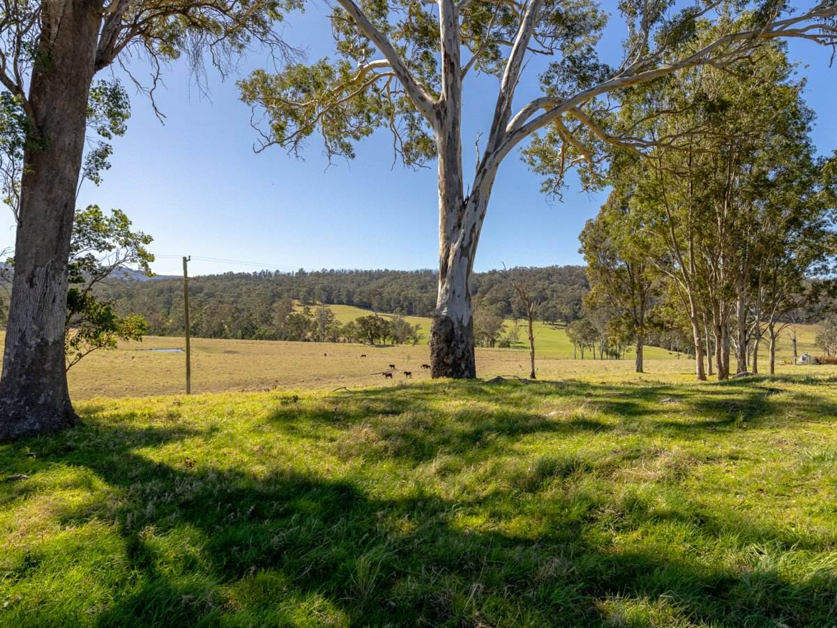 9859 Princes Highway, Cobargo Sold by Farmbuy.com - image 15