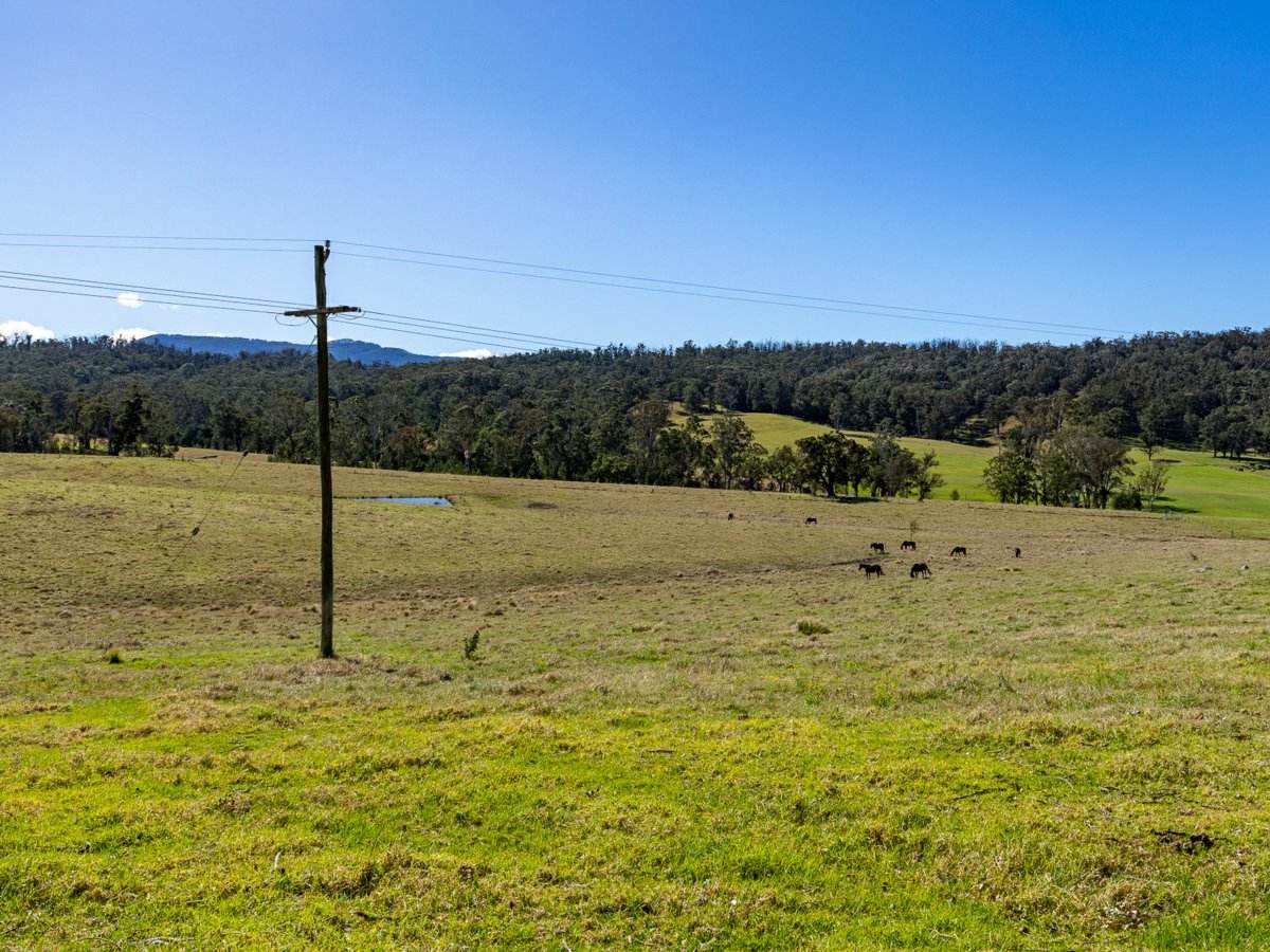 9859 Princes Highway, Cobargo Sold by Farmbuy.com - image 17