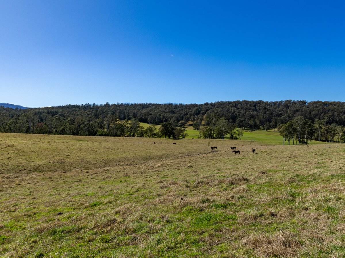 9859 Princes Highway, Cobargo Sold by Farmbuy.com - image 10