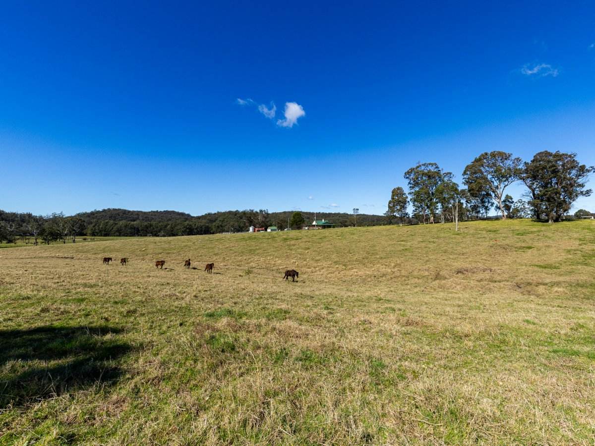 9859 Princes Highway, Cobargo Sold by Farmbuy.com - image 14