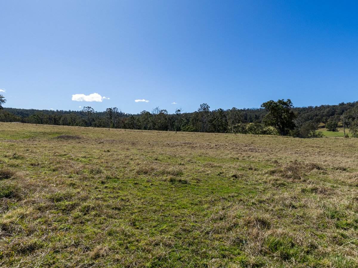 9859 Princes Highway, Cobargo Sold by Farmbuy.com - image 11