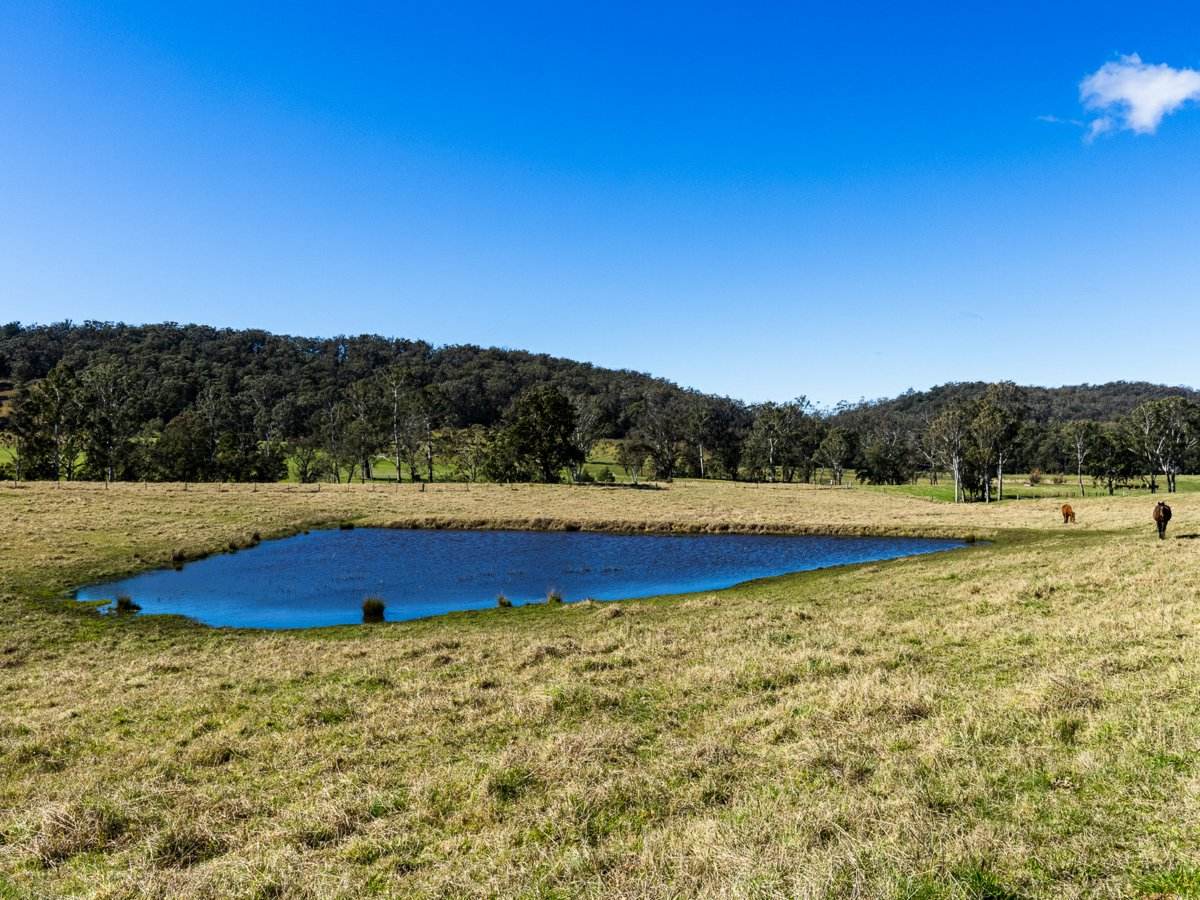 9859 Princes Highway, Cobargo Sold by Farmbuy.com - image 8