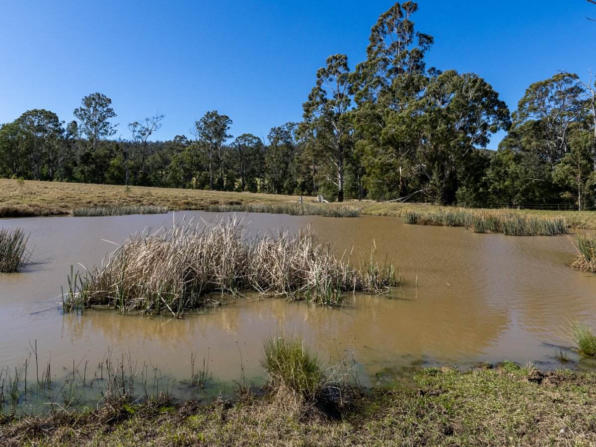 9859 Princes Highway, Cobargo Sold by Farmbuy.com - image 22