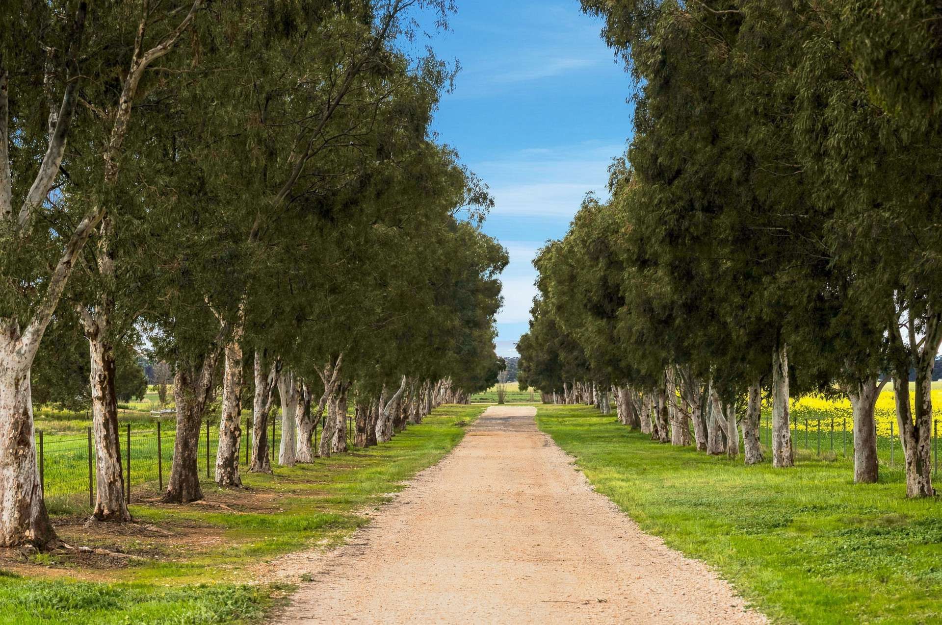 697 Tallarook Road, Cowra Auction by Farmbuy.com - image 25