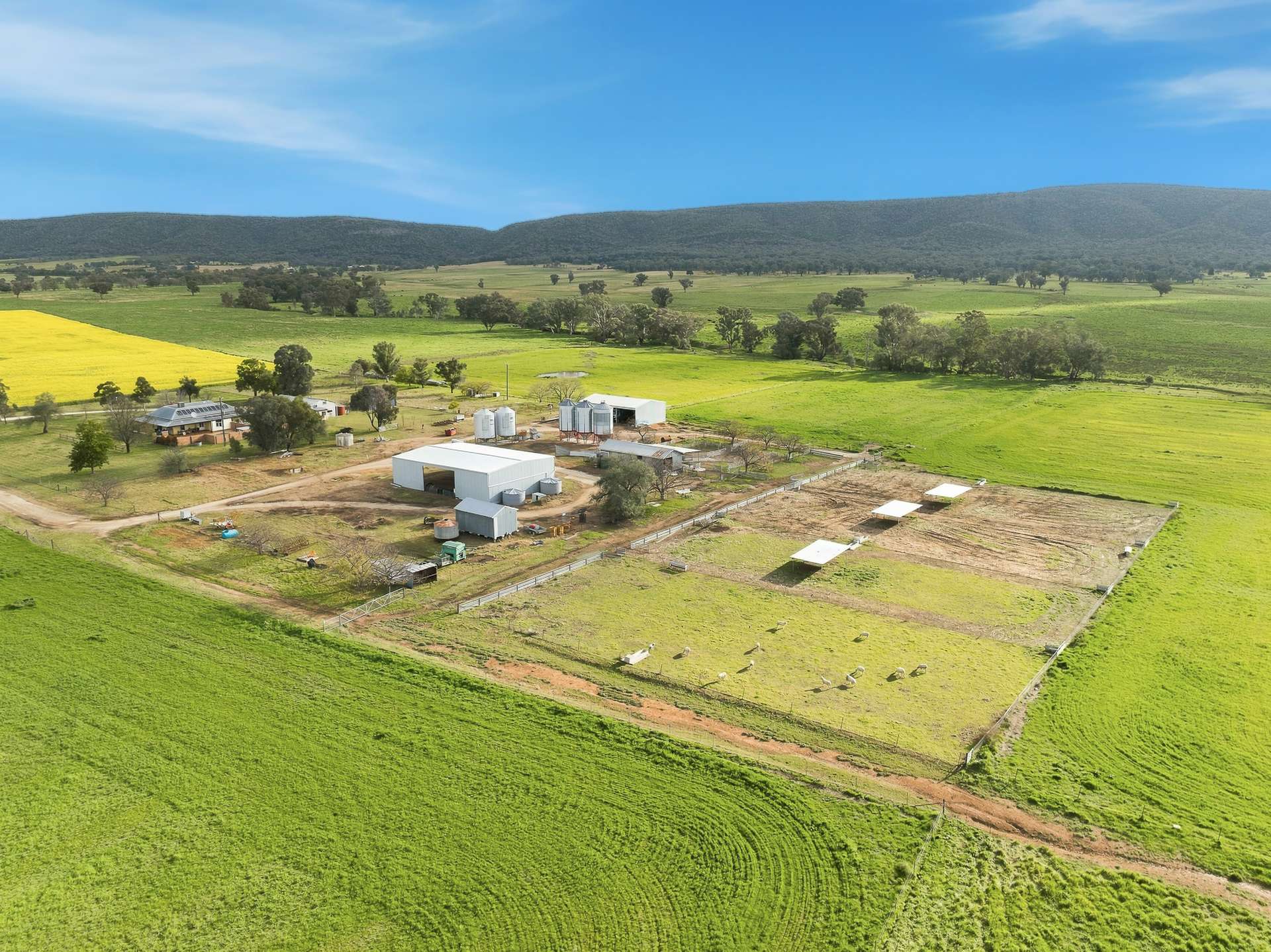 697 Tallarook Road, Cowra Auction by Farmbuy.com - image 21