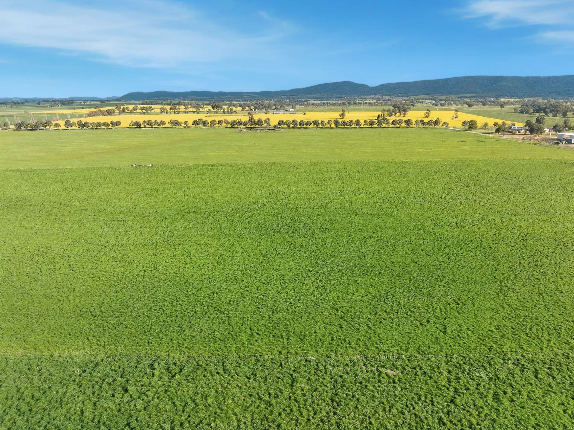 697 Tallarook Road, Cowra Auction by Farmbuy.com - image 19