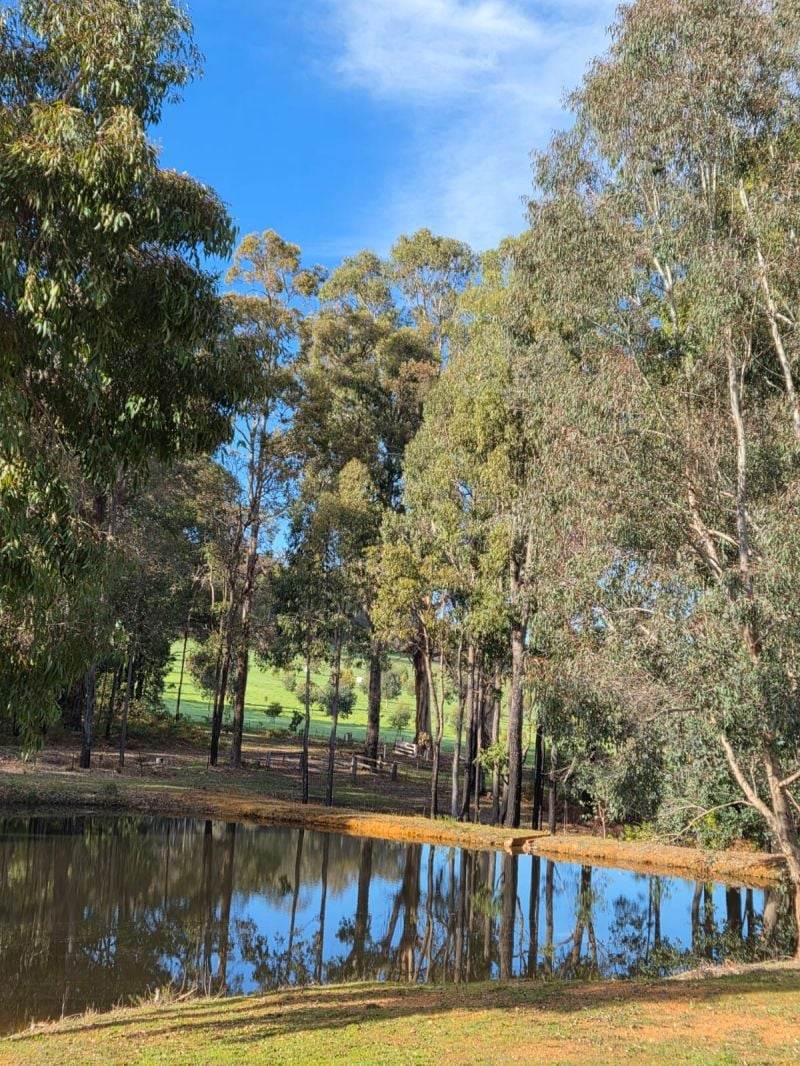 Lot 350 Caraholly Road, Dwellingup For Sale by Farmbuy.com - image 10