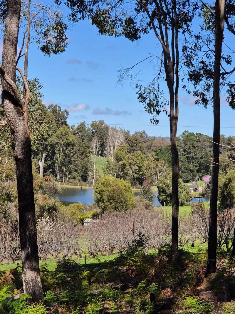 Lot 350 Caraholly Road, Dwellingup For Sale by Farmbuy.com - image 7
