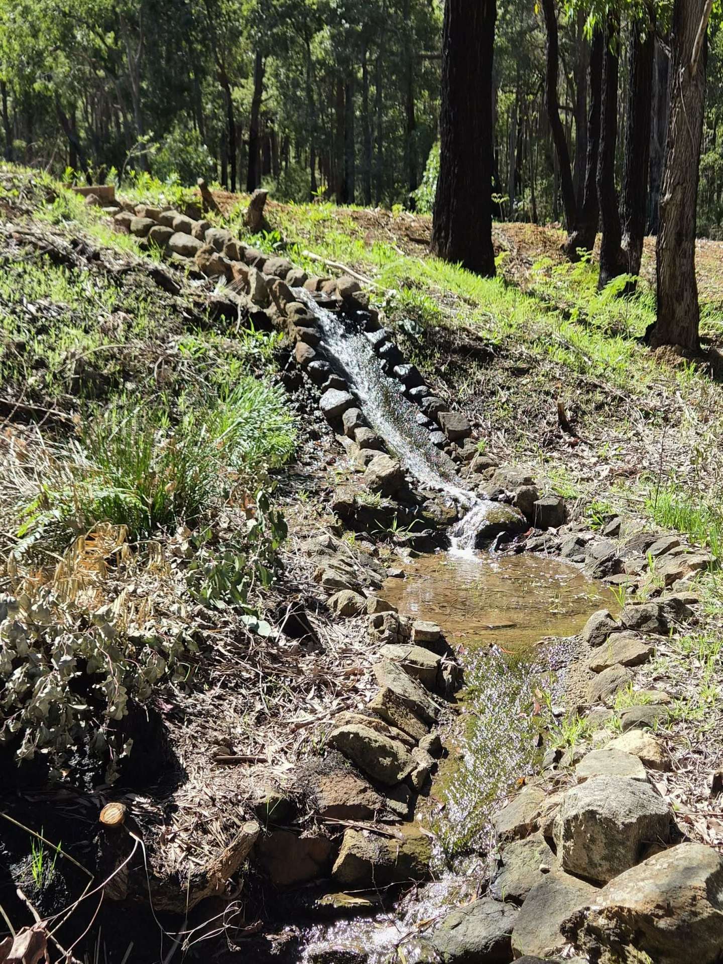 Lot 350 Caraholly Road, Dwellingup For Sale by Farmbuy.com - image 15