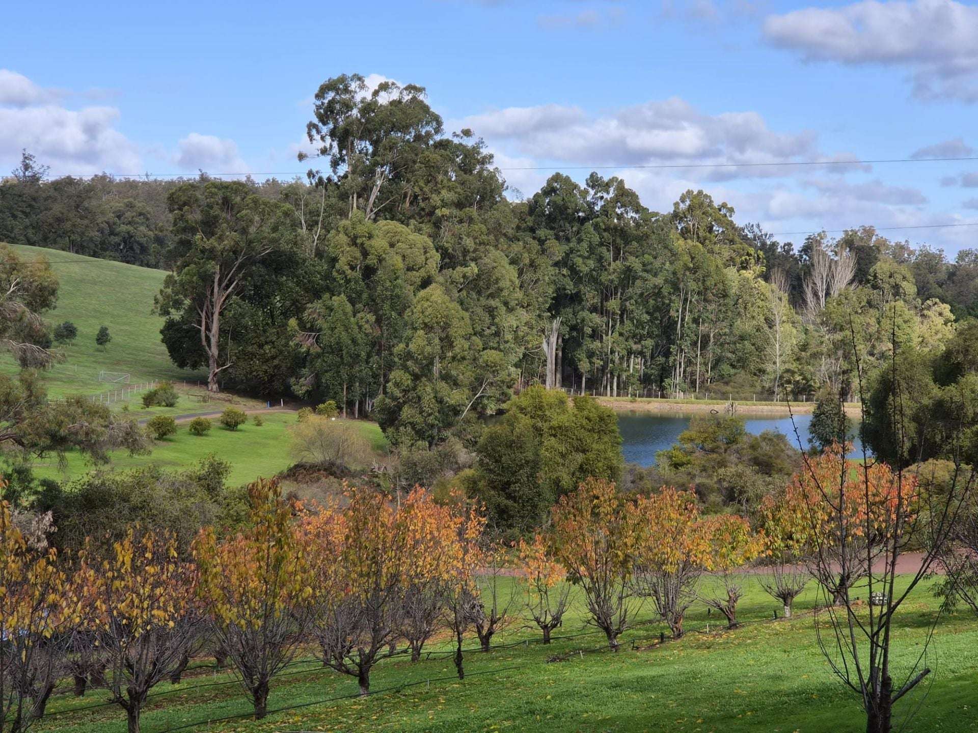 Lot 350 Caraholly Road, Dwellingup For Sale by Farmbuy.com - image 6