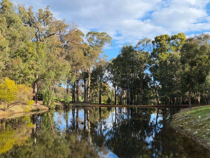 Lot 350 Caraholly Road, Dwellingup For Sale by Farmbuy.com - image 9