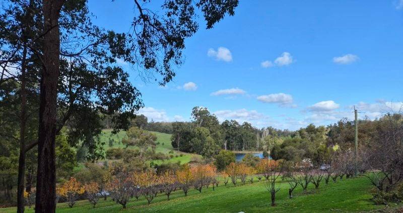 Lot 350 Caraholly Road, Dwellingup For Sale by Farmbuy.com - image 4