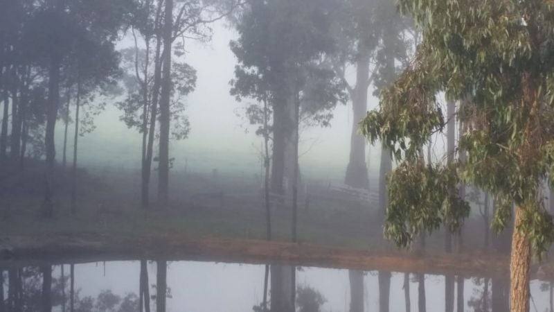 Lot 350 Caraholly Road, Dwellingup For Sale by Farmbuy.com - image 16