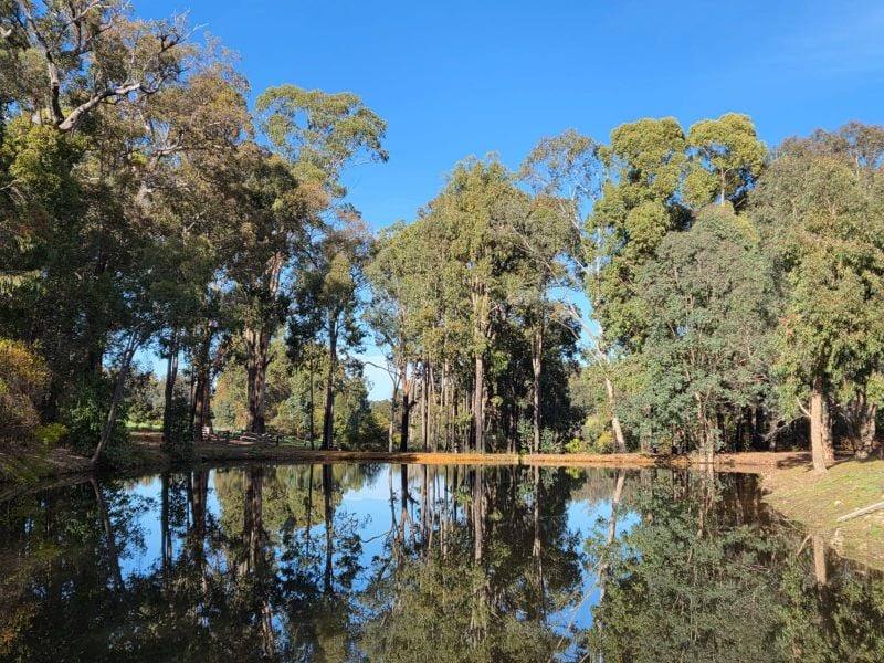 Lot 350 Caraholly Road, Dwellingup For Sale by Farmbuy.com - image 2