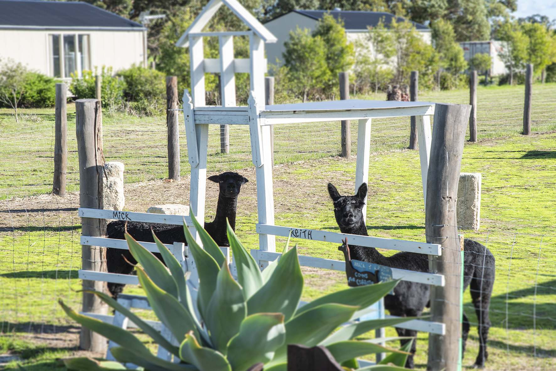 671 Mallokup Rd, Stirling Estate For Sale by Farmbuy.com - image 16