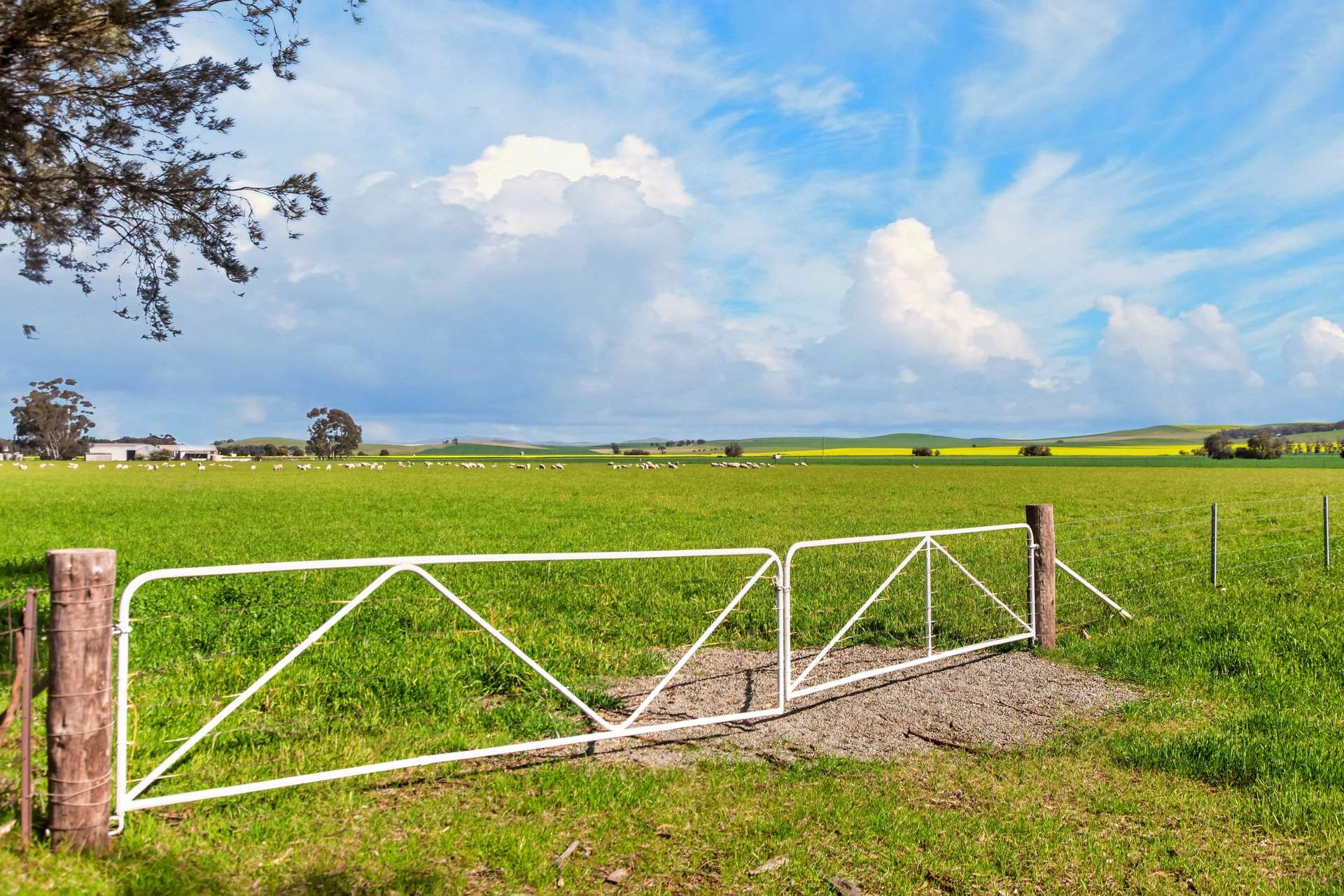 'Lucerne Park' Booborowie Road, Booborowie Auction by Farmbuy.com - image 7