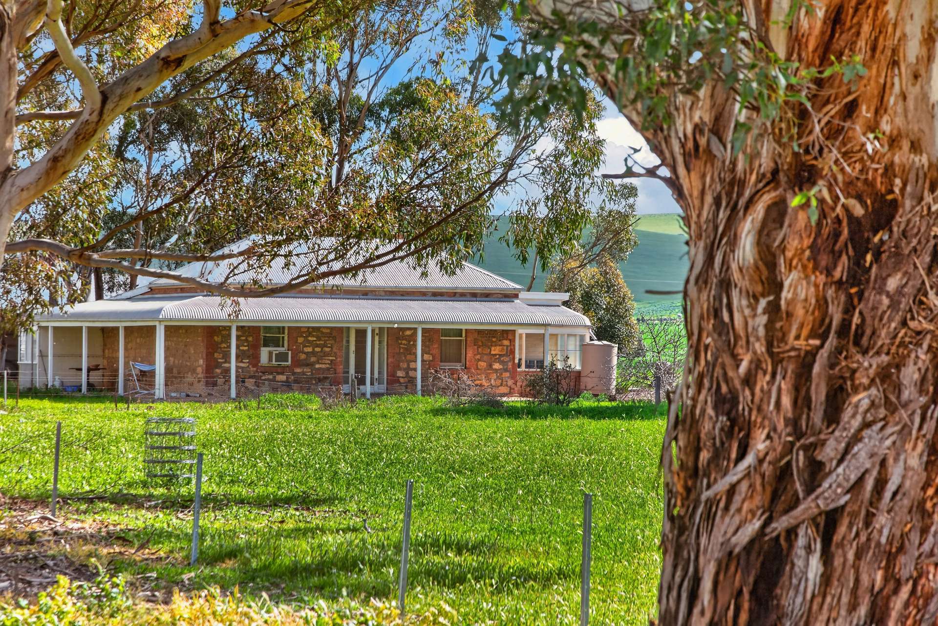 'Lucerne Park' Booborowie Road, Booborowie Auction by Farmbuy.com - image 10