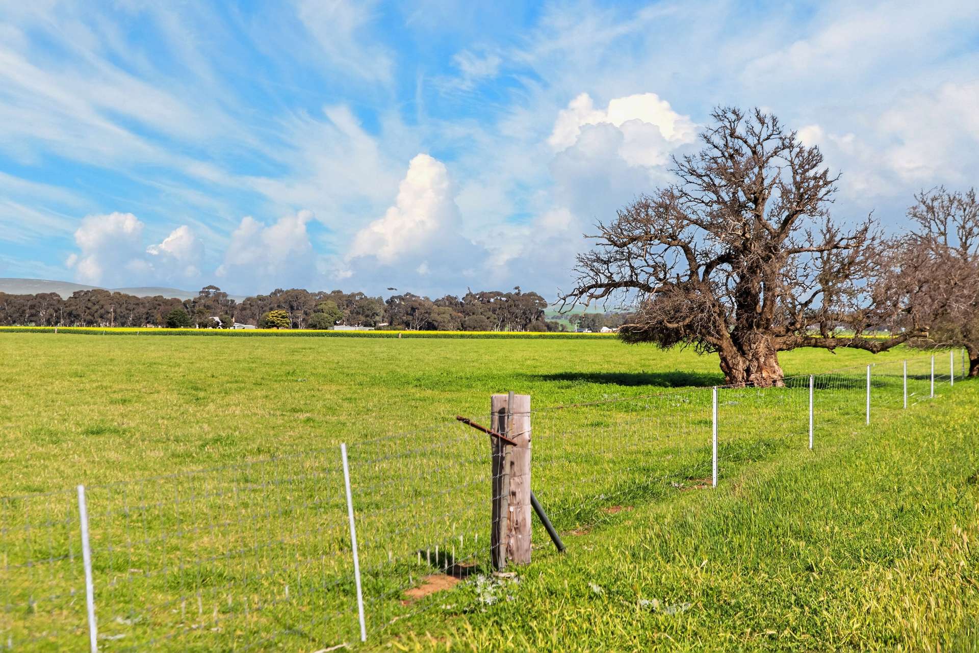 'Lucerne Park' Booborowie Road, Booborowie Auction by Farmbuy.com - image 9