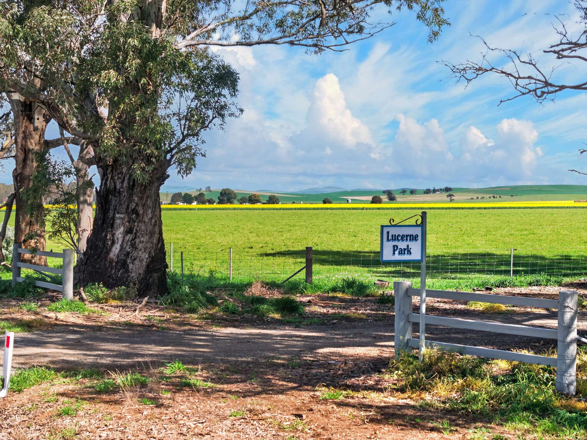 'Lucerne Park' Booborowie Road, Booborowie Auction by Farmbuy.com - image 1