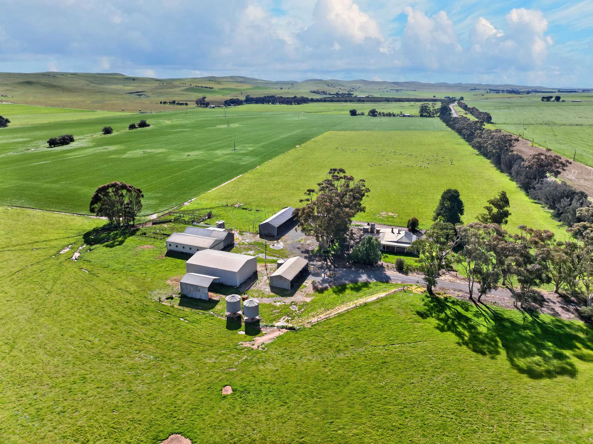 'Lucerne Park' Booborowie Road, Booborowie Auction by Farmbuy.com - image 4