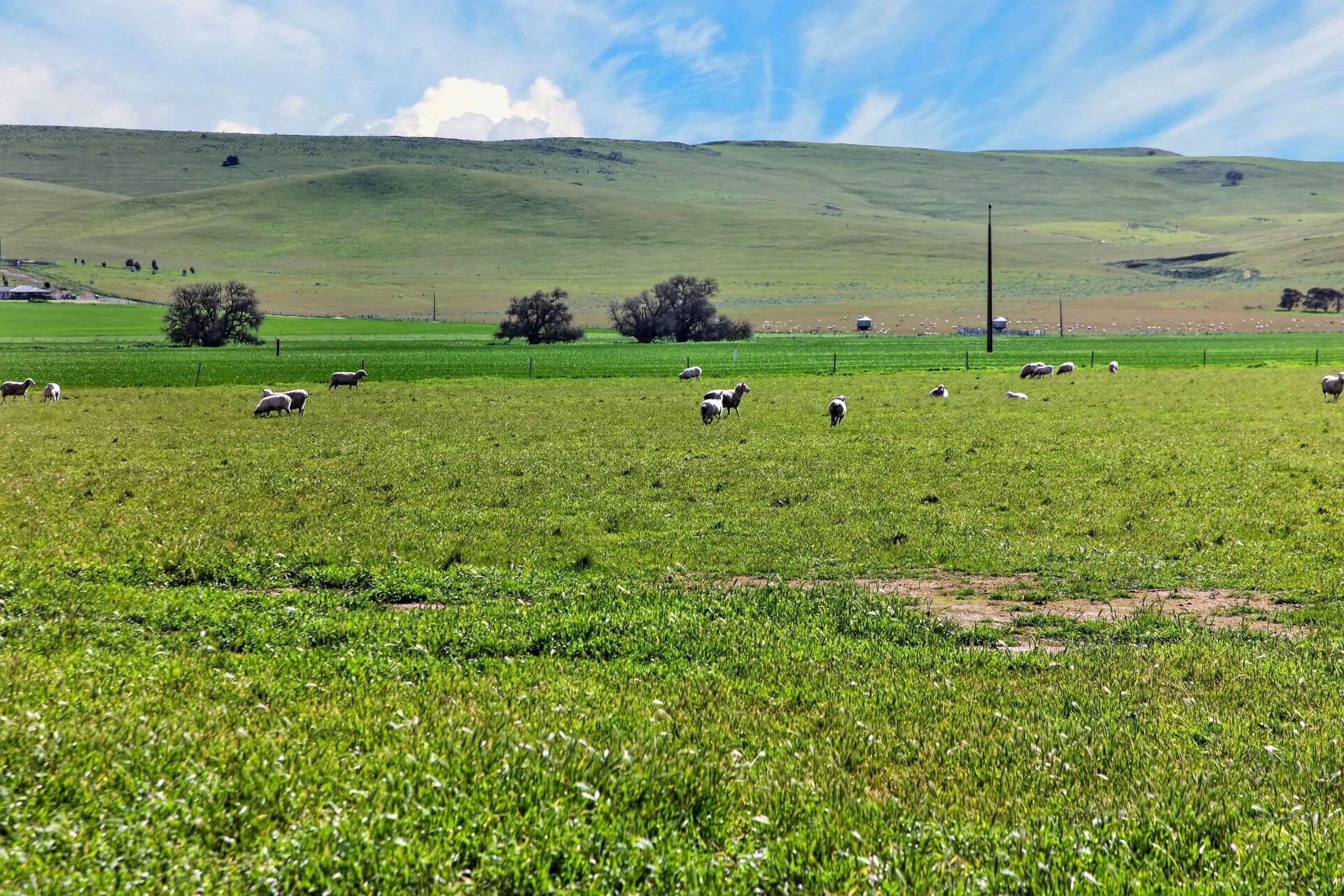 'Lucerne Park' Booborowie Road, Booborowie Auction by Farmbuy.com - image 3