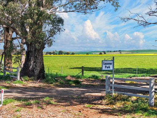 Farm Auction - SA - Booborowie - 5417 - Going to Auction - A Genuine Opportunity, Not to be Missed 
