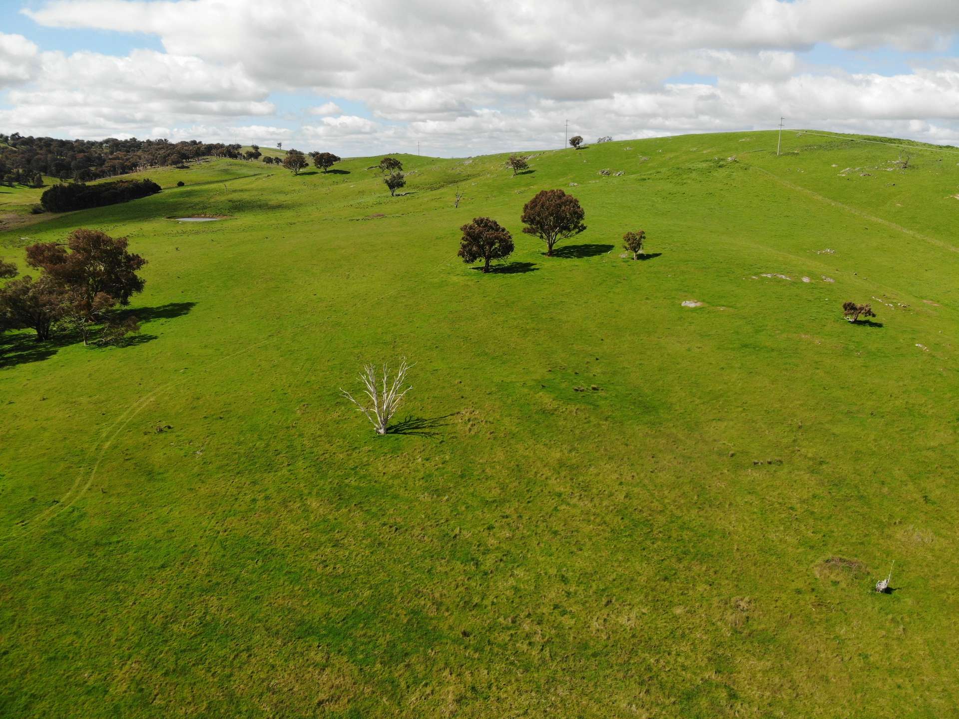 149 Long Tunnel Road, Gundagai For Sale by Farmbuy.com - image 32