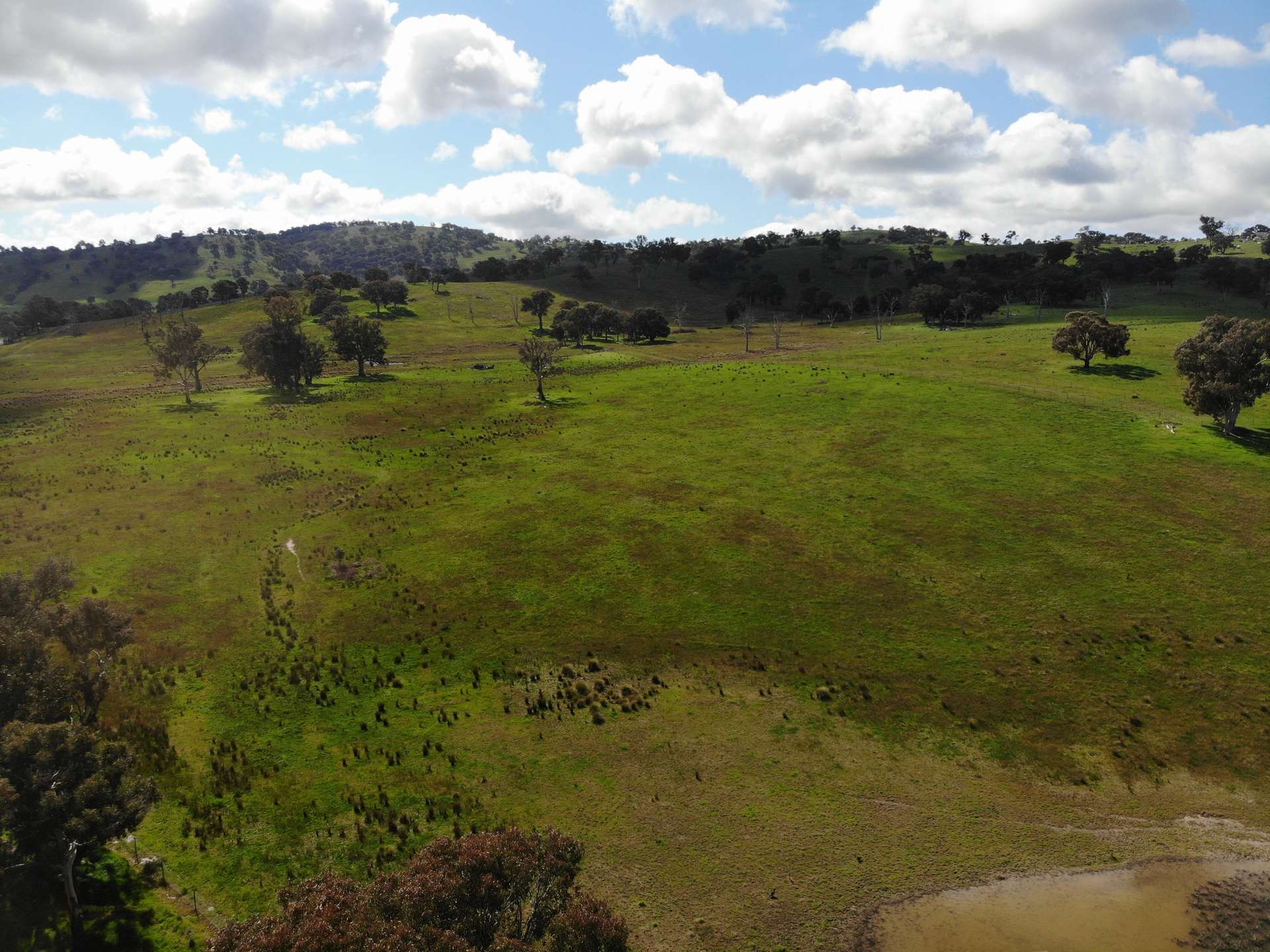 149 Long Tunnel Road, Gundagai For Sale by Farmbuy.com - image 30