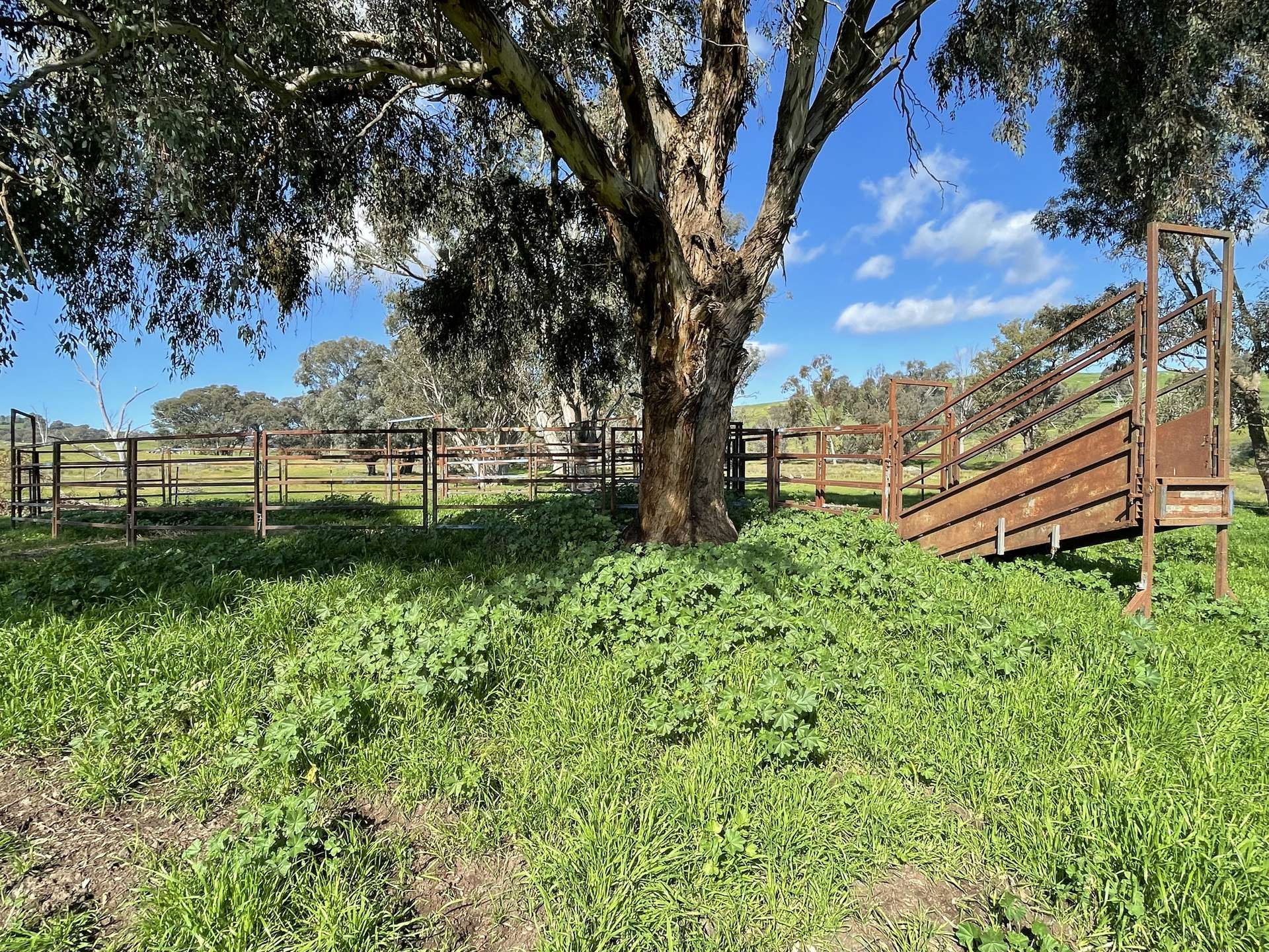 149 Long Tunnel Road, Gundagai For Sale by Farmbuy.com - image 5