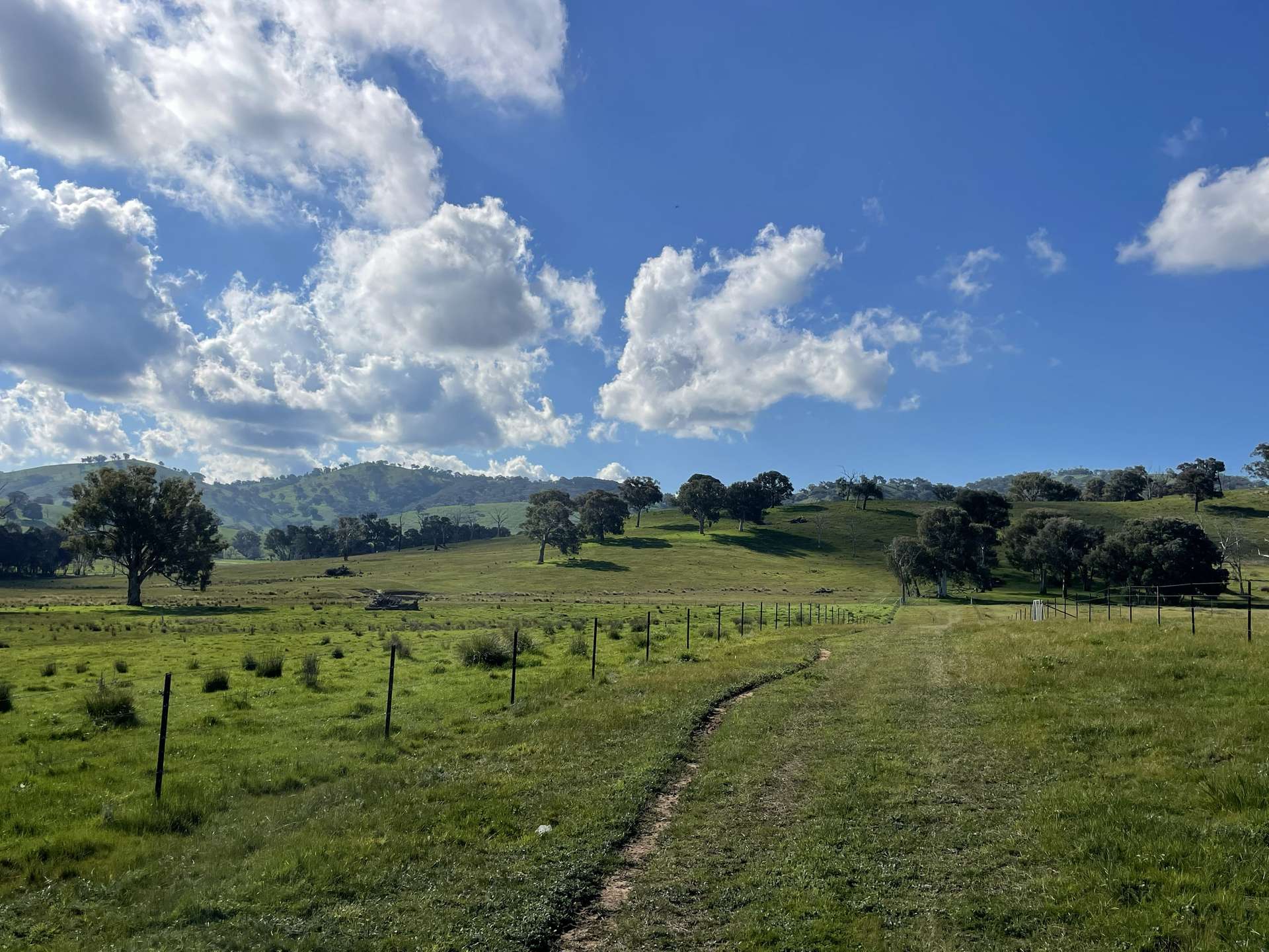 149 Long Tunnel Road, Gundagai For Sale by Farmbuy.com - image 16
