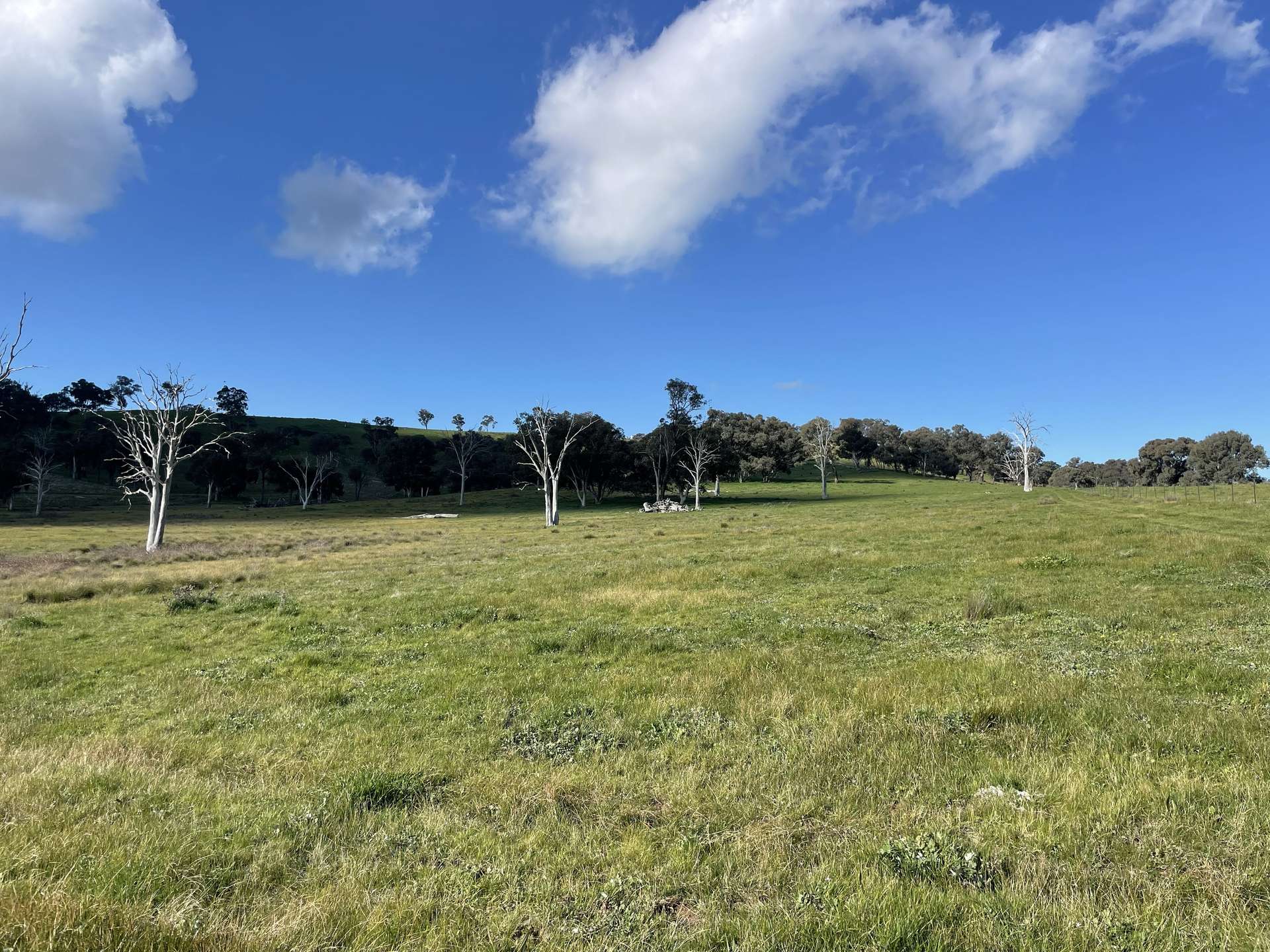 149 Long Tunnel Road, Gundagai For Sale by Farmbuy.com - image 19