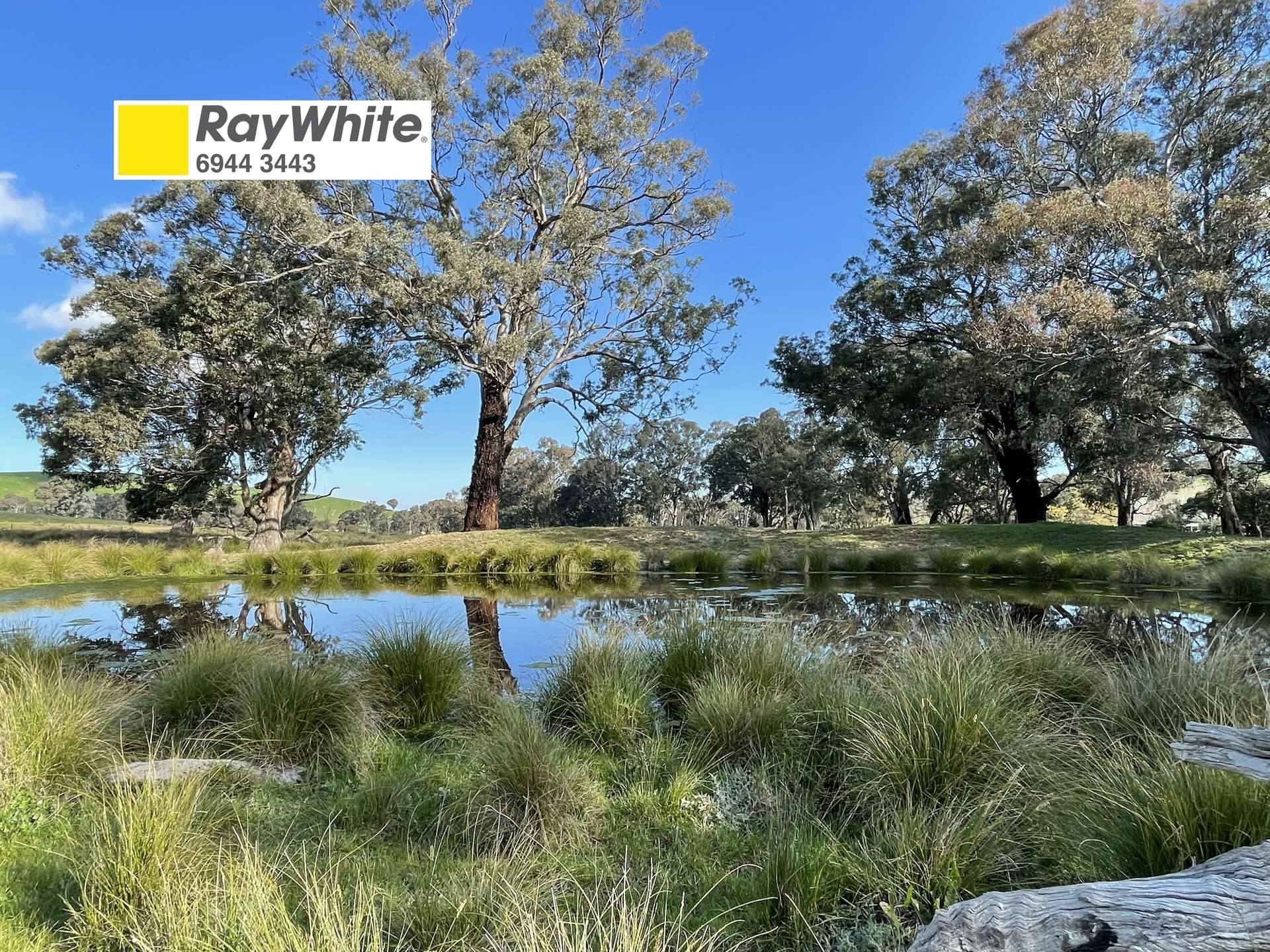 149 Long Tunnel Road, Gundagai For Sale by Farmbuy.com - image 1