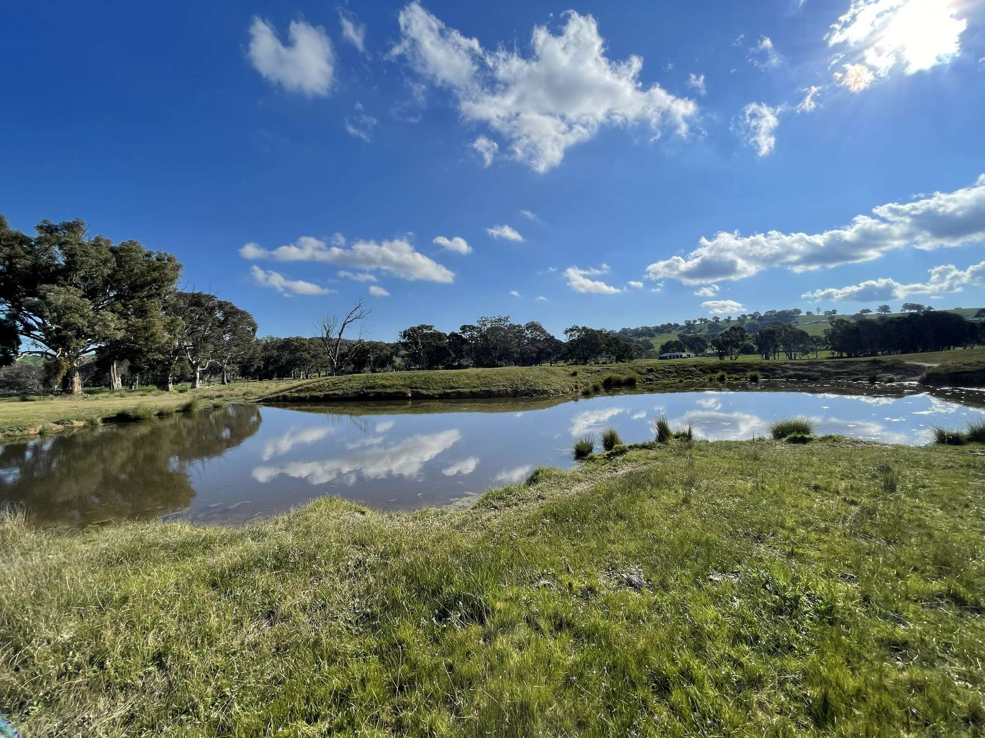 149 Long Tunnel Road, Gundagai For Sale by Farmbuy.com - image 20